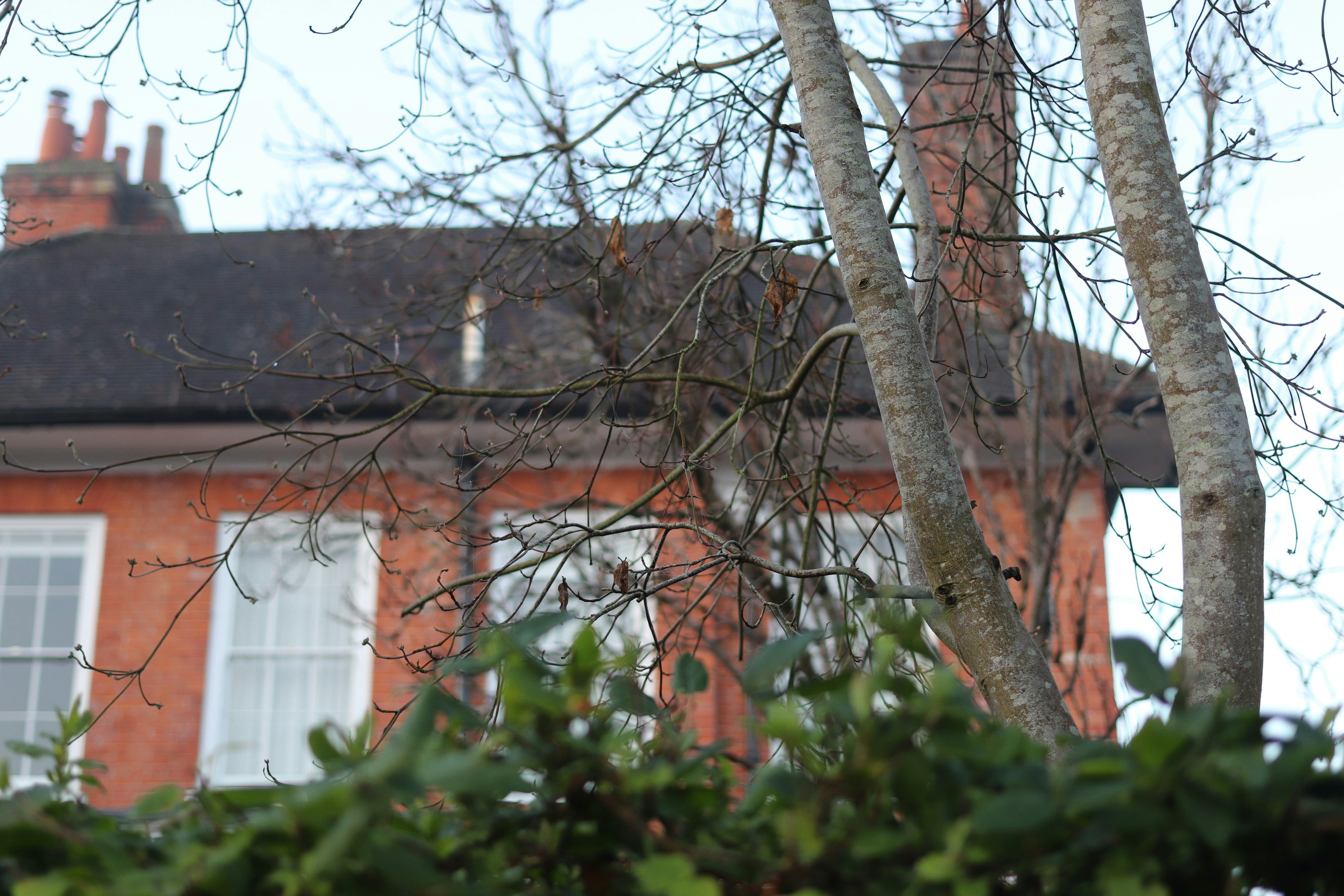 Photo by tanyabarrow