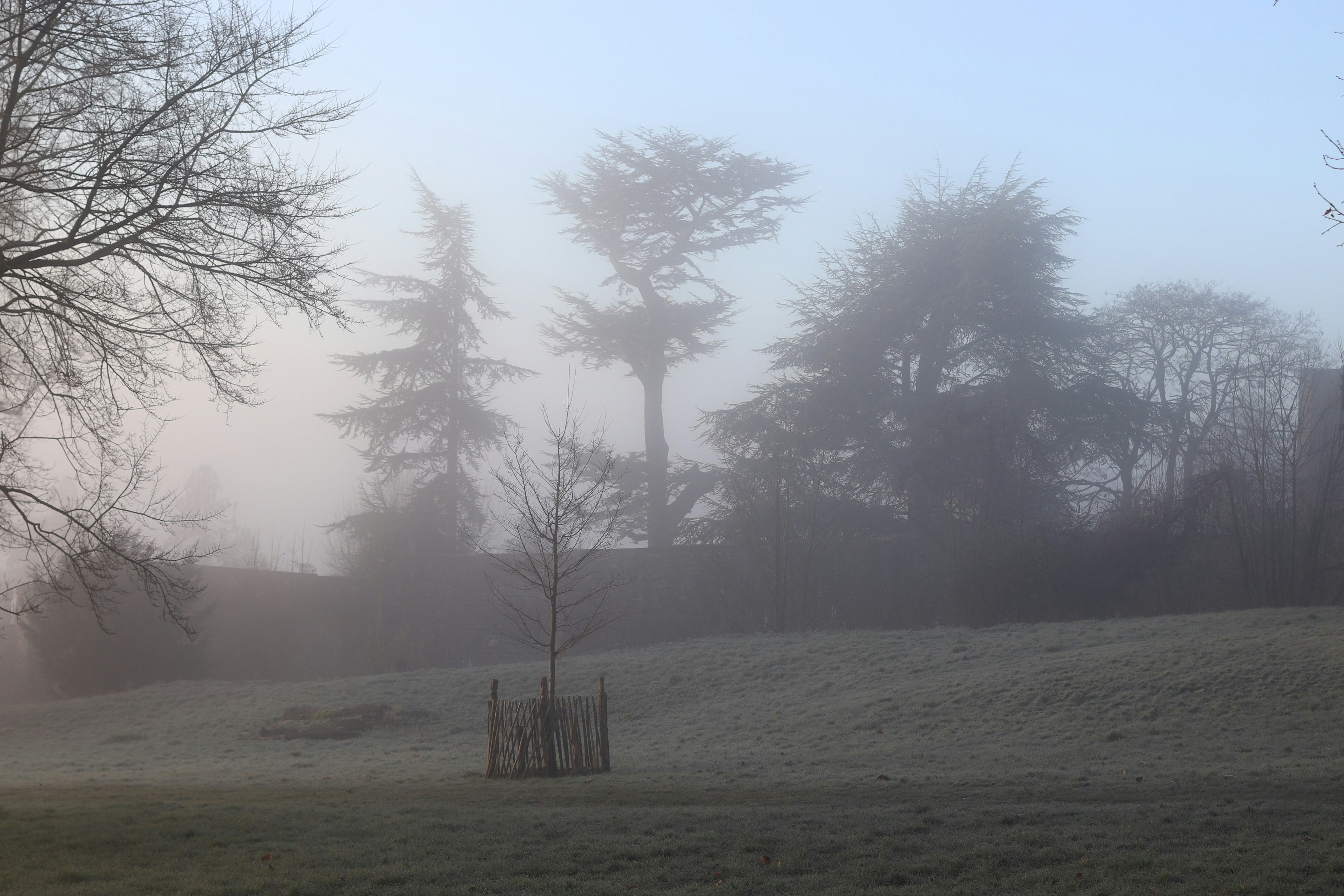 Photo by tanyabarrow