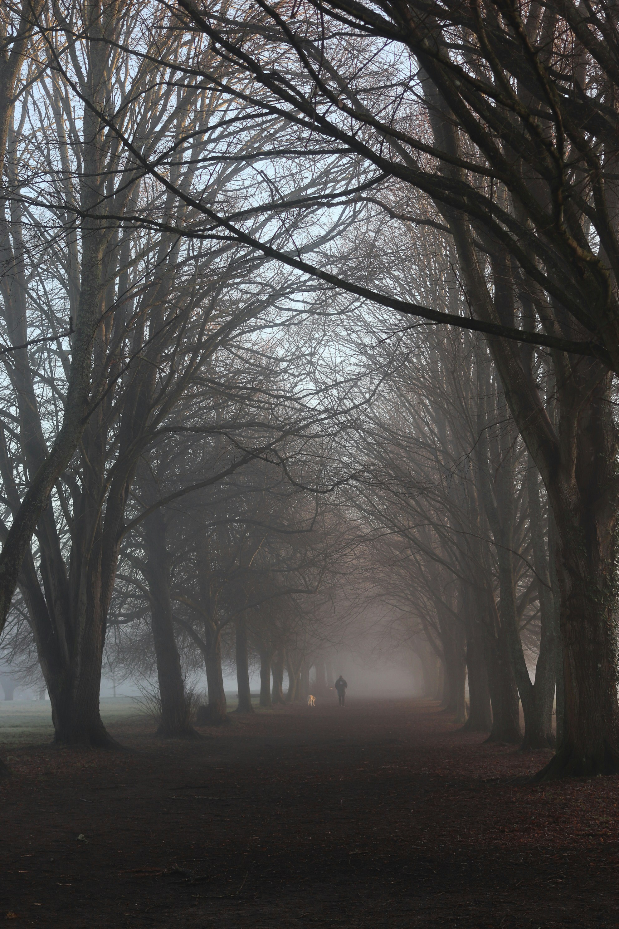 Photo by tanyabarrow