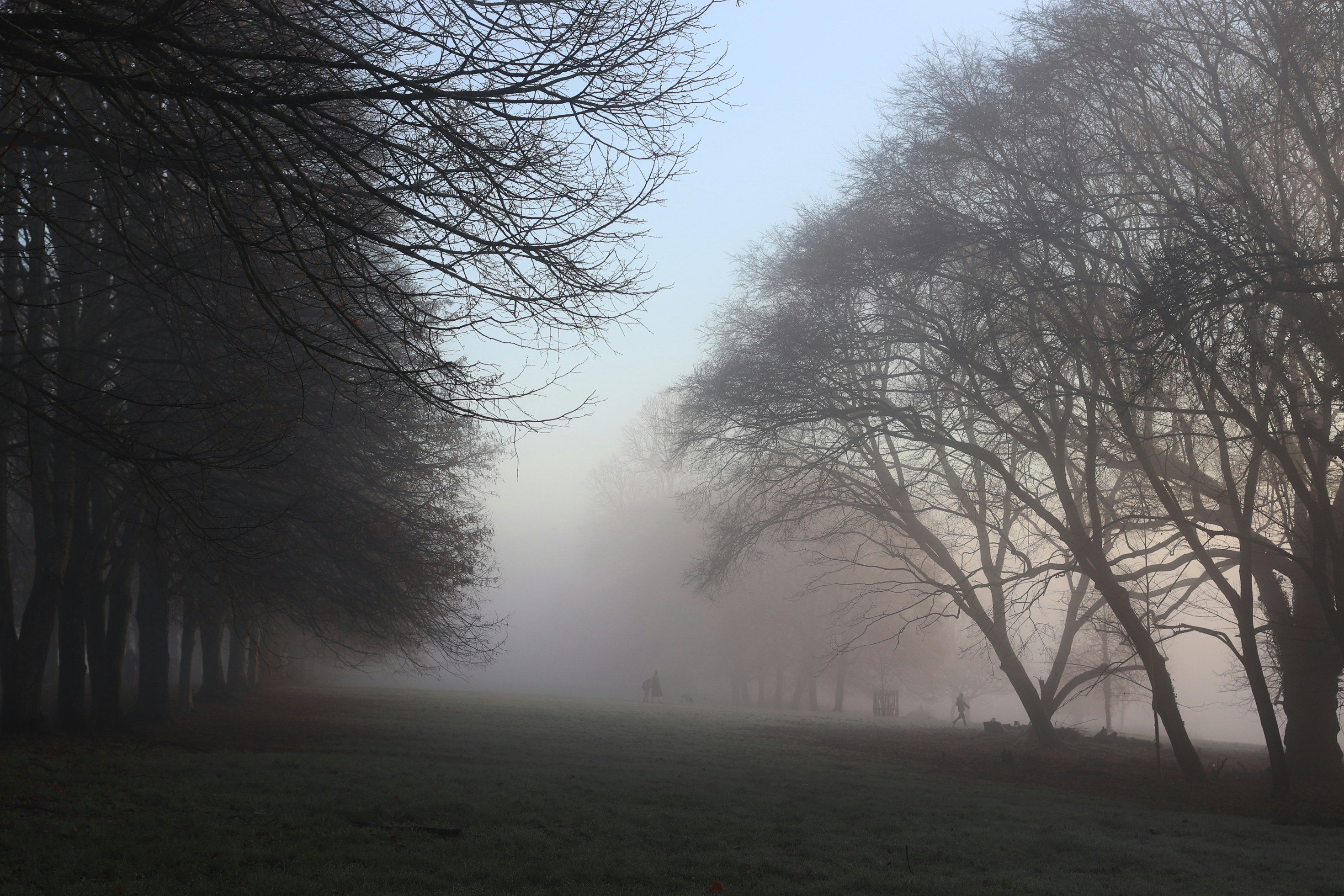 Photo by tanyabarrow