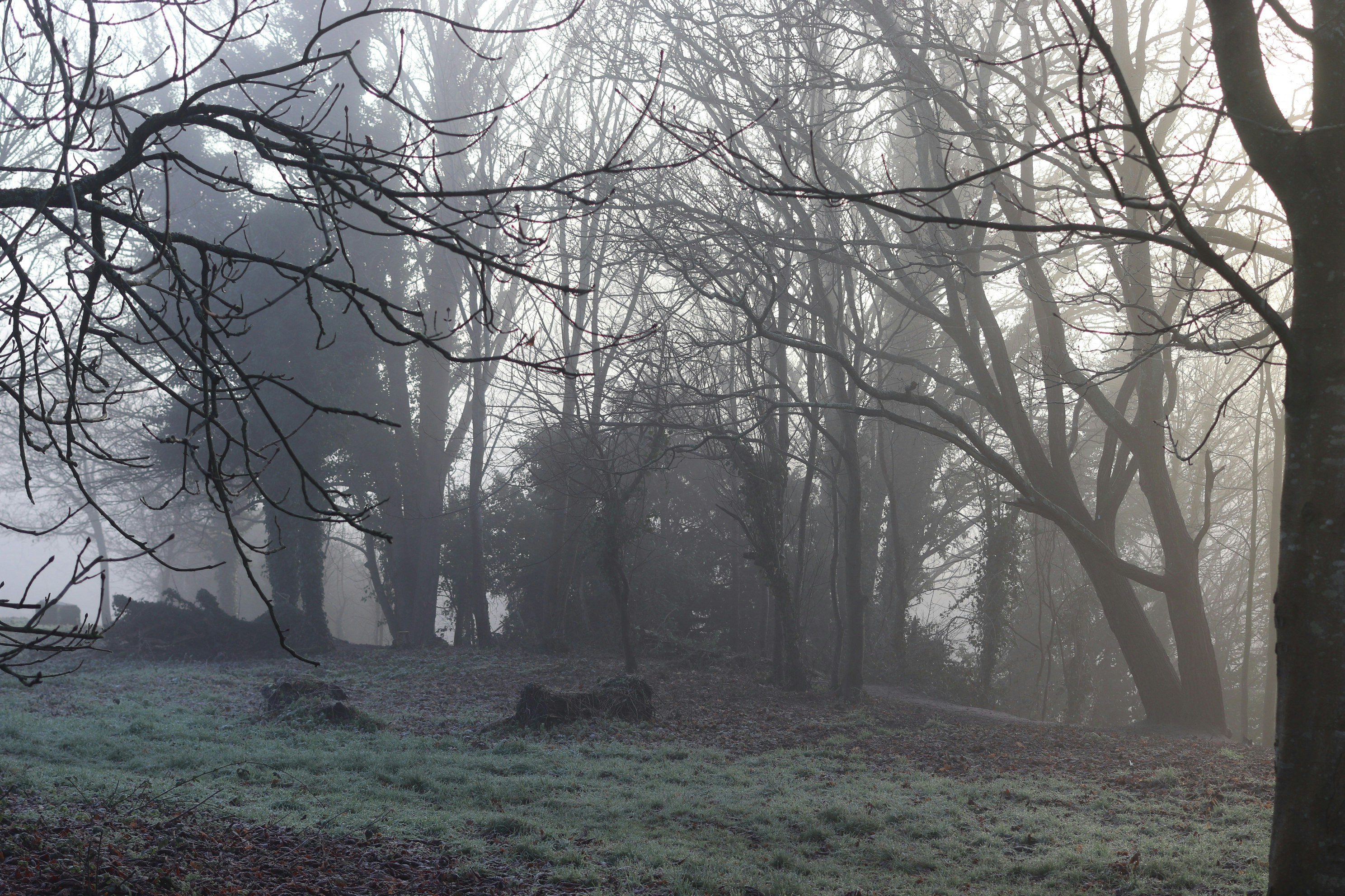 Photo by tanyabarrow