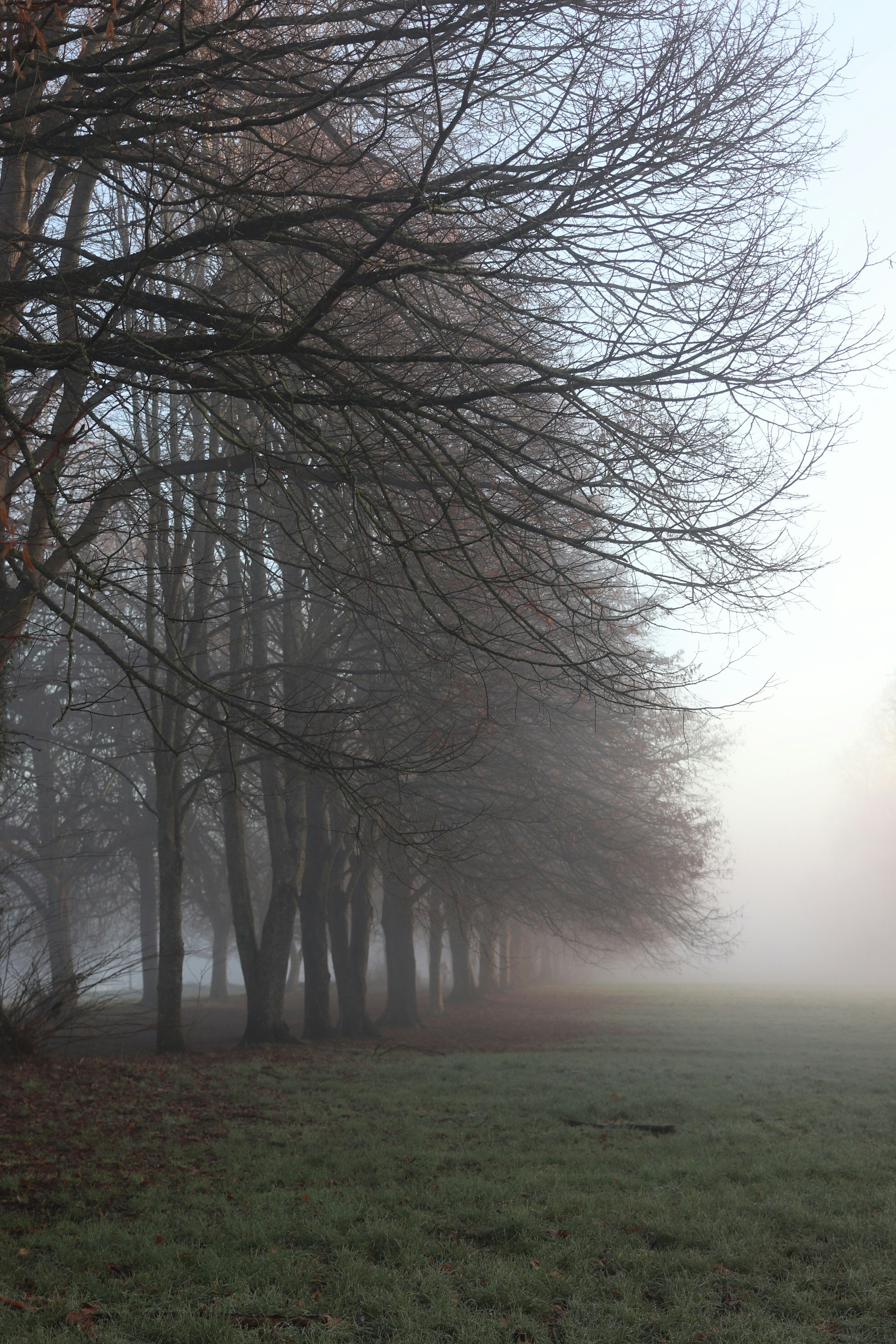 Photo by tanyabarrow