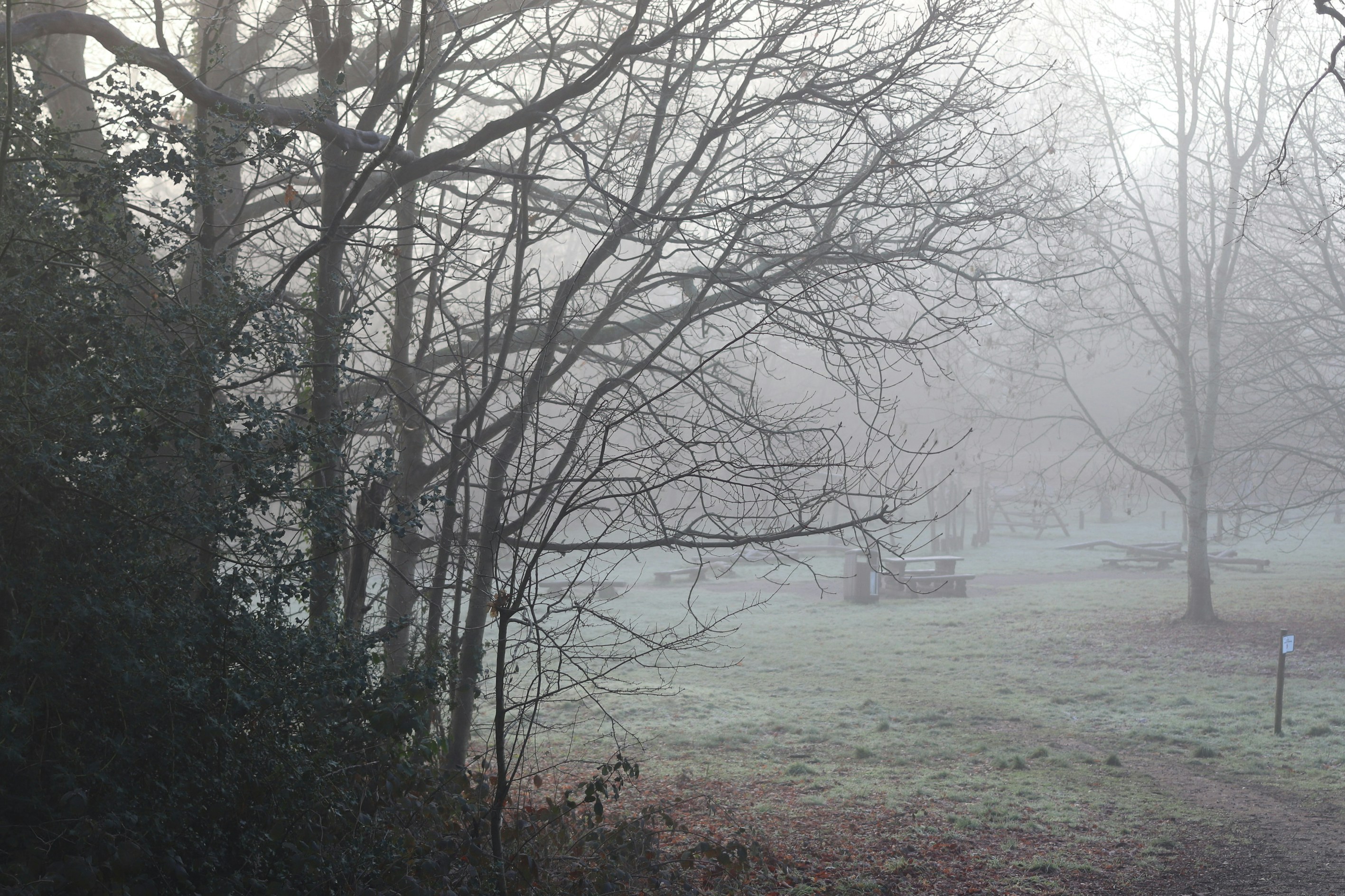 Photo by tanyabarrow