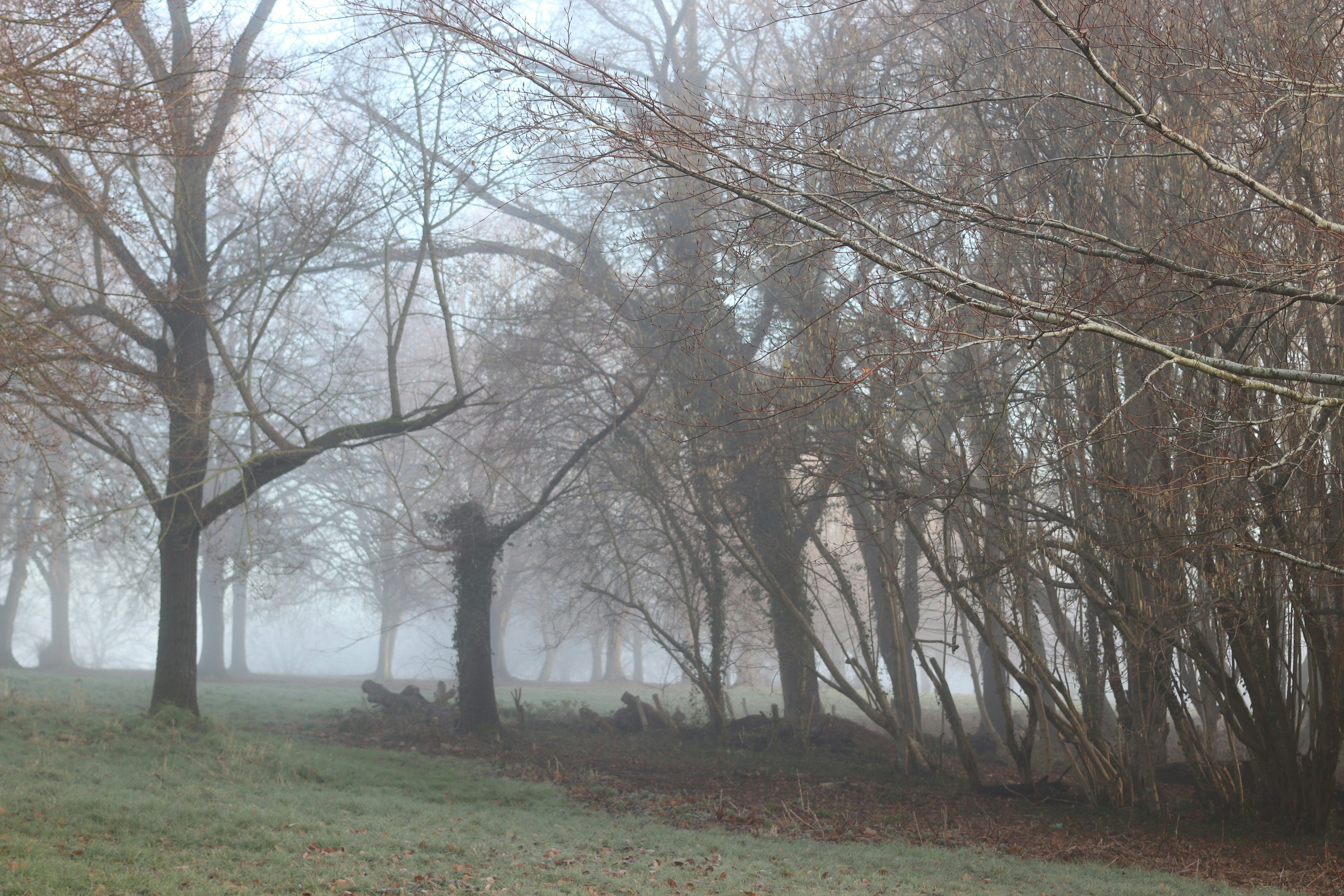 Photo by tanyabarrow