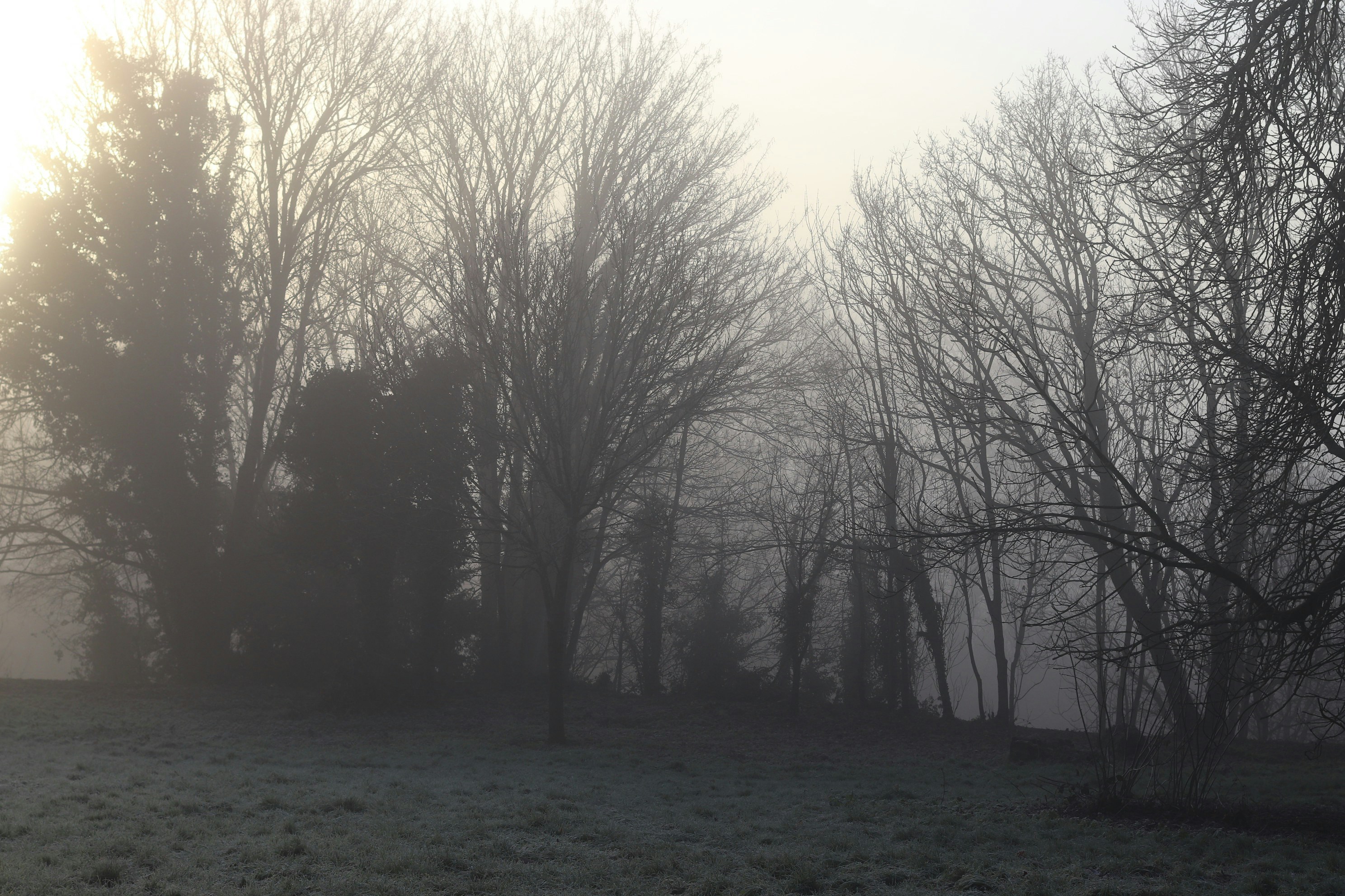 Photo by tanyabarrow