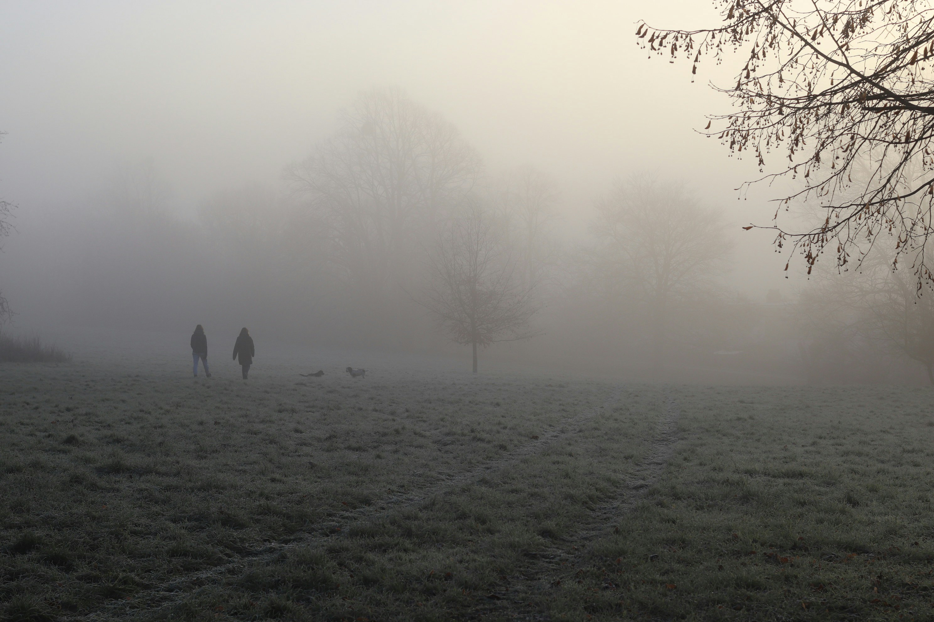 Photo by tanyabarrow