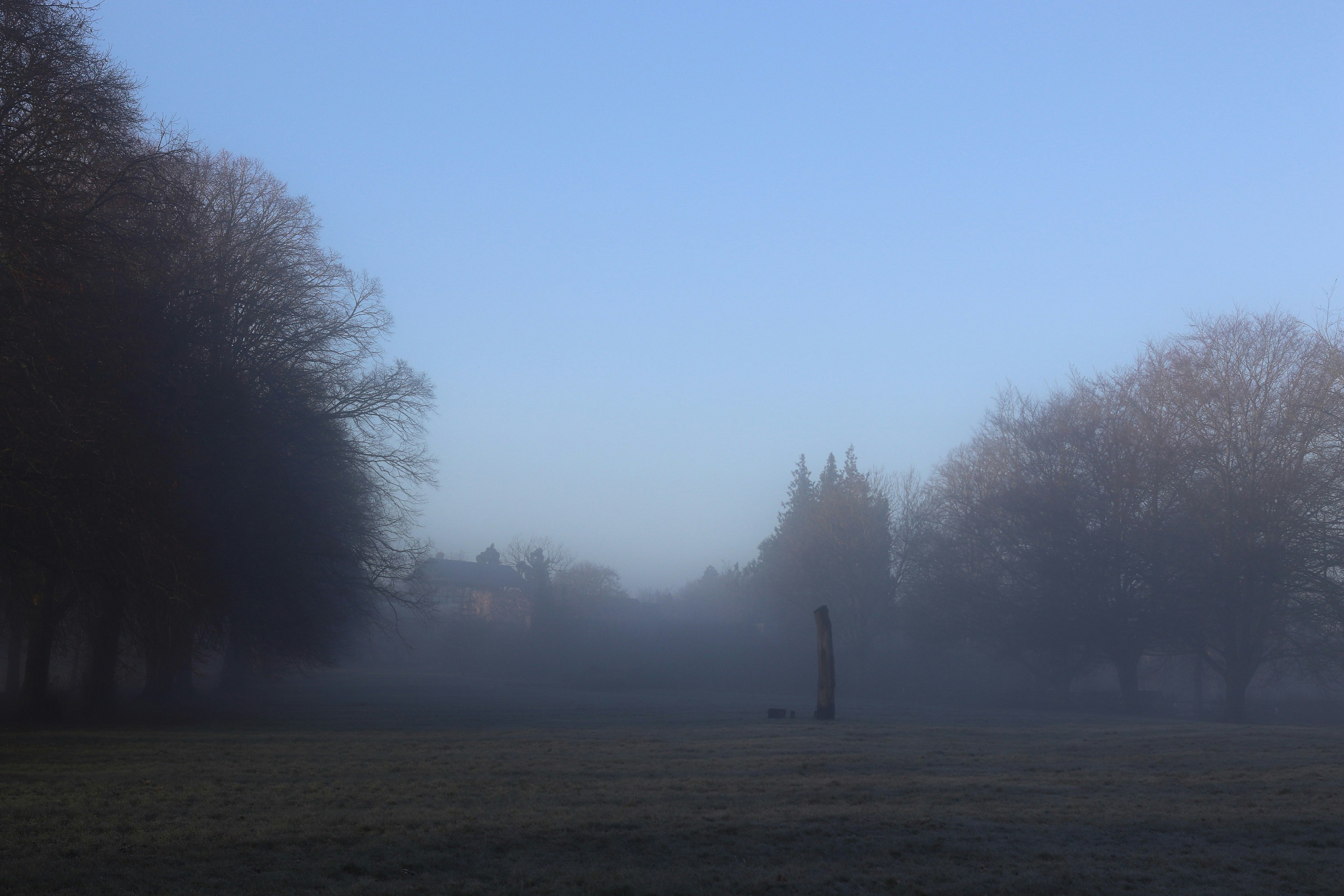 Photo by tanyabarrow