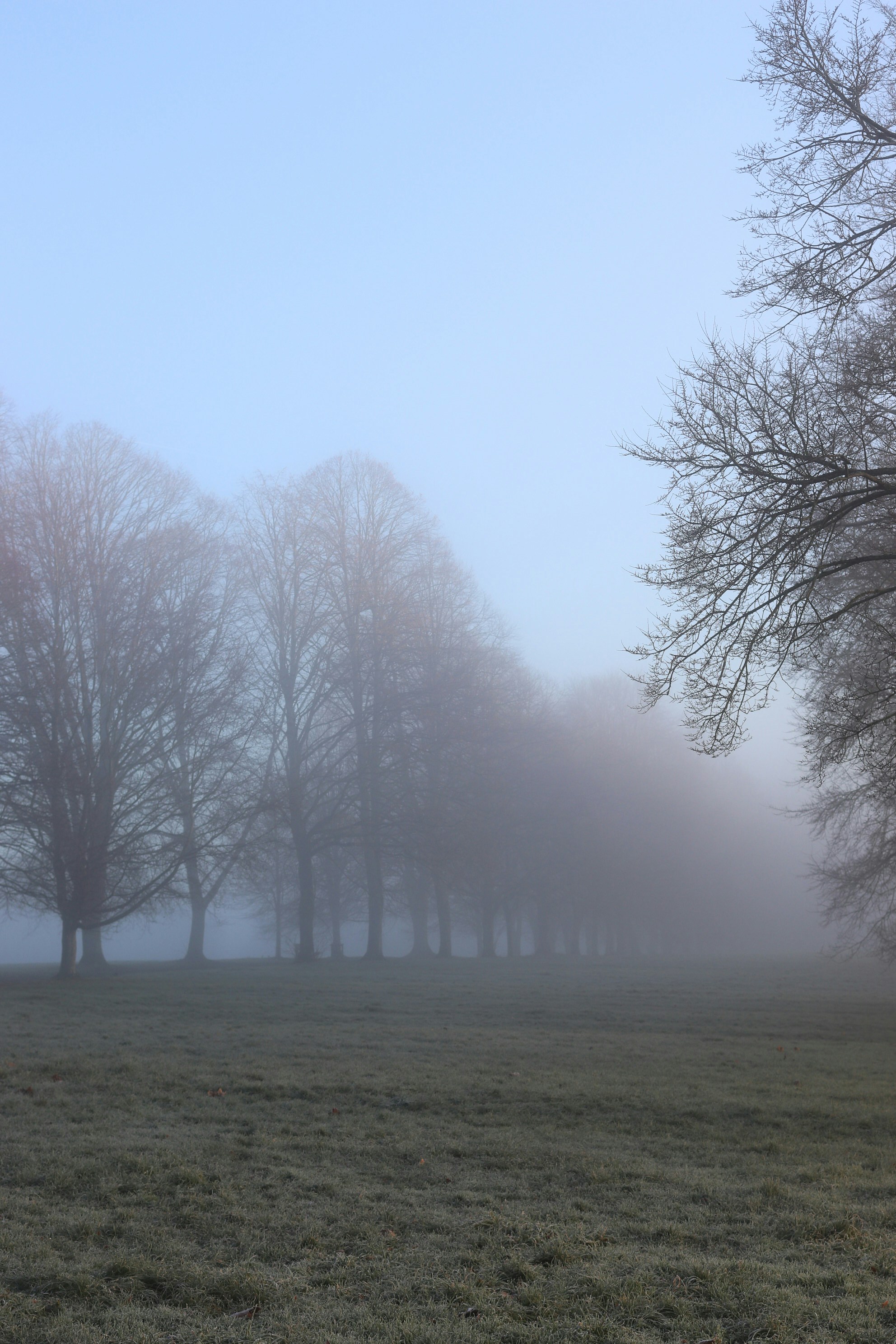 Photo by tanyabarrow