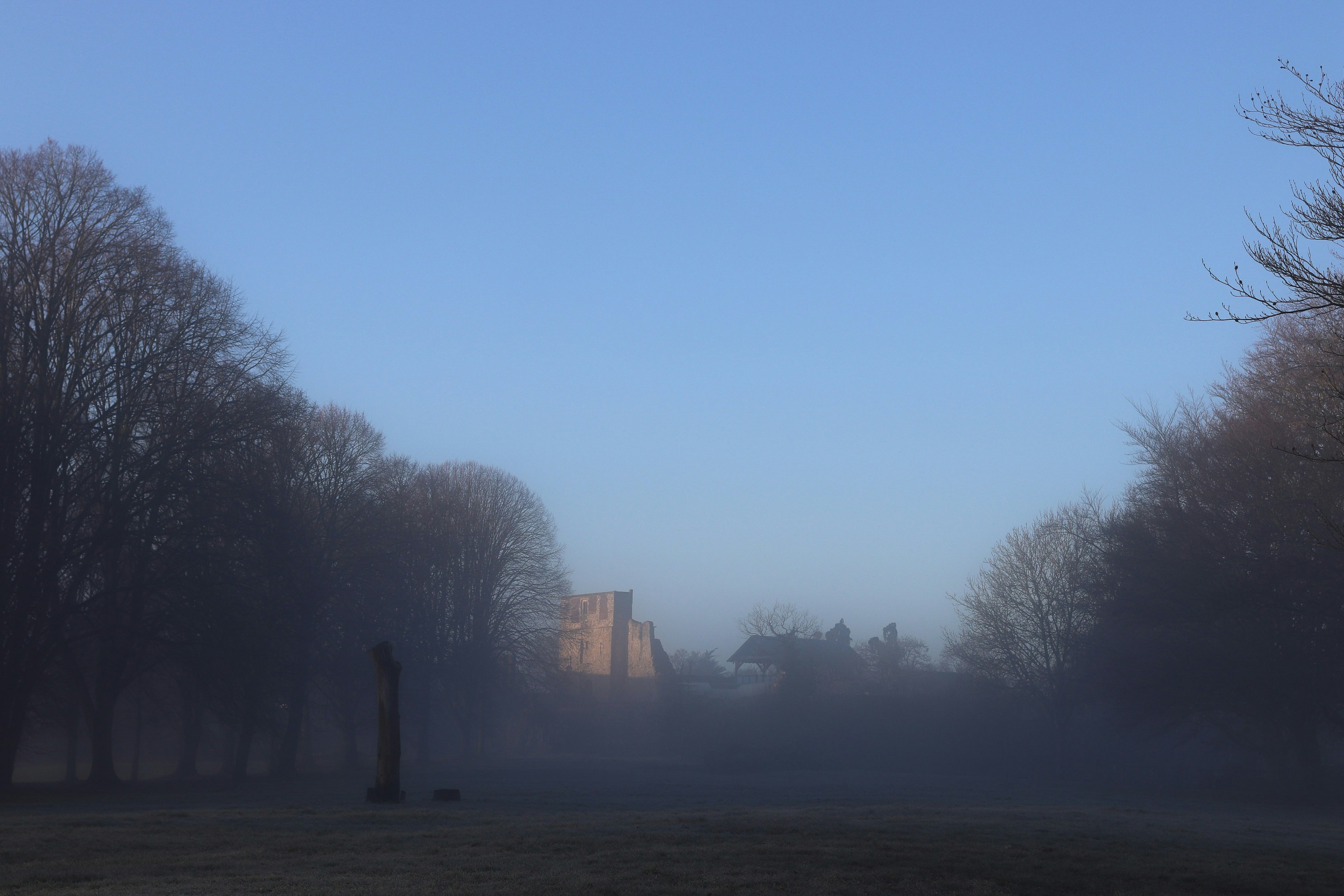 Schloss im Morgennebel gehüllt von kahlen Bäumen