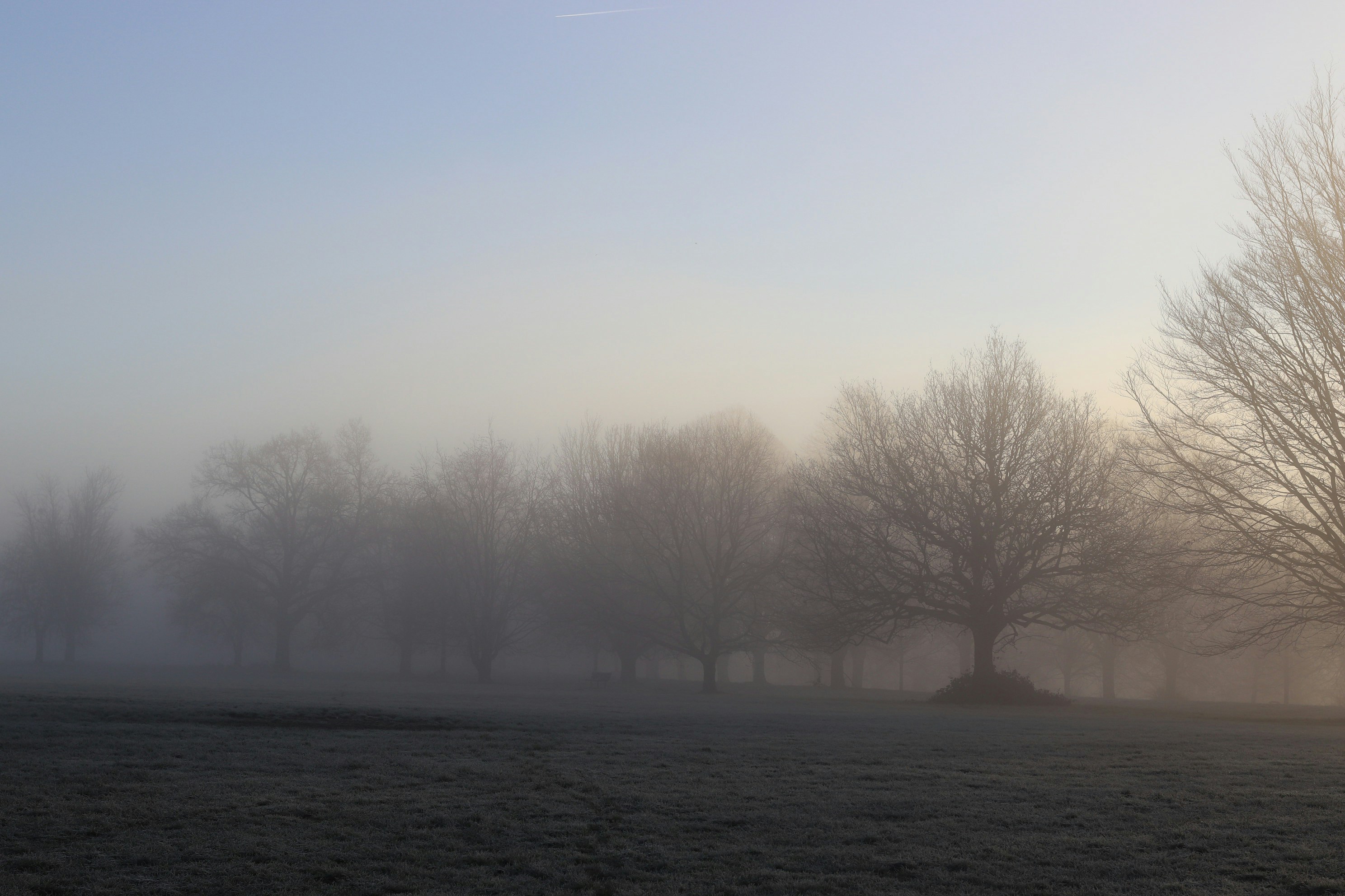 Photo by tanyabarrow