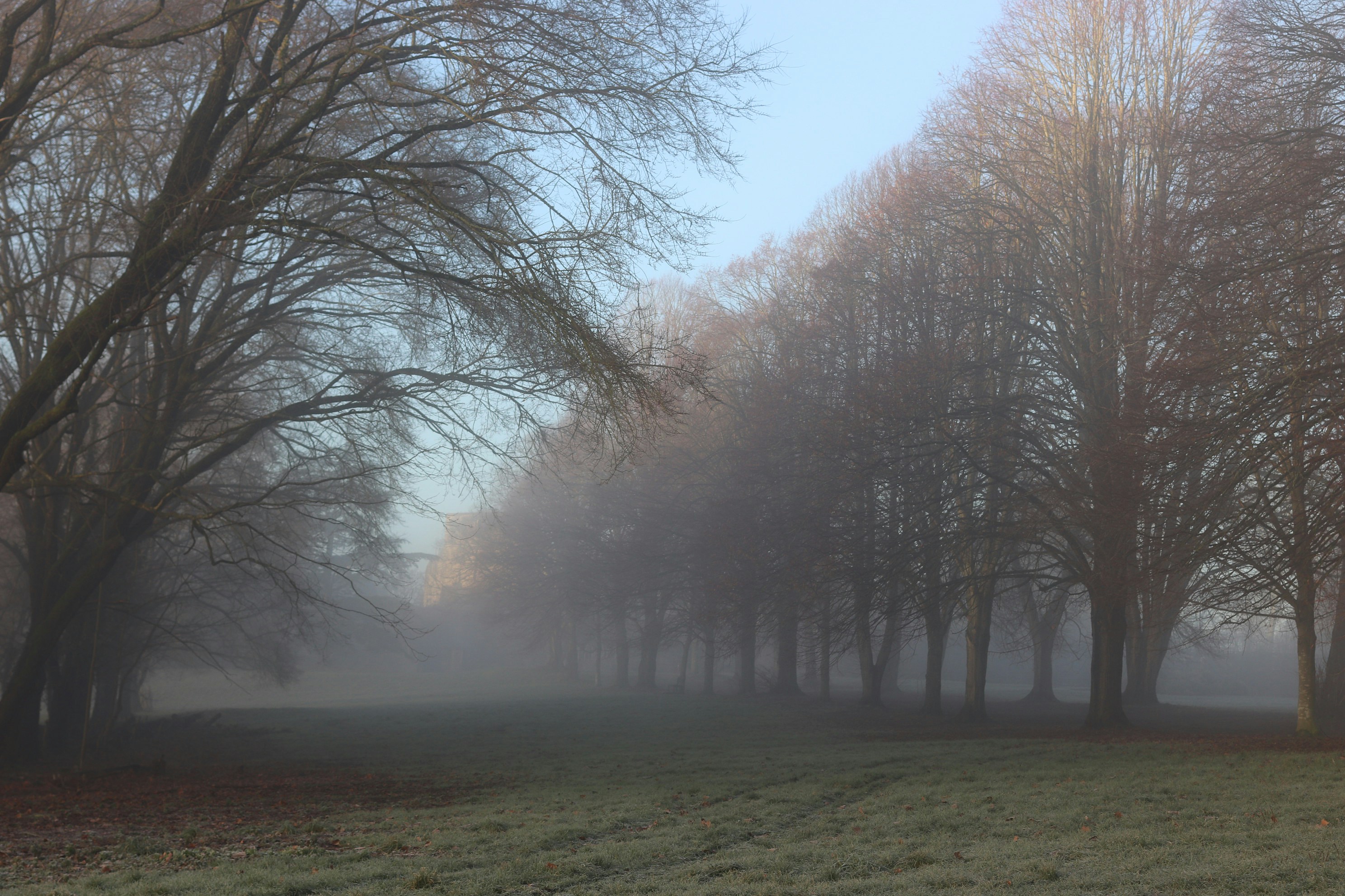 Photo by tanyabarrow