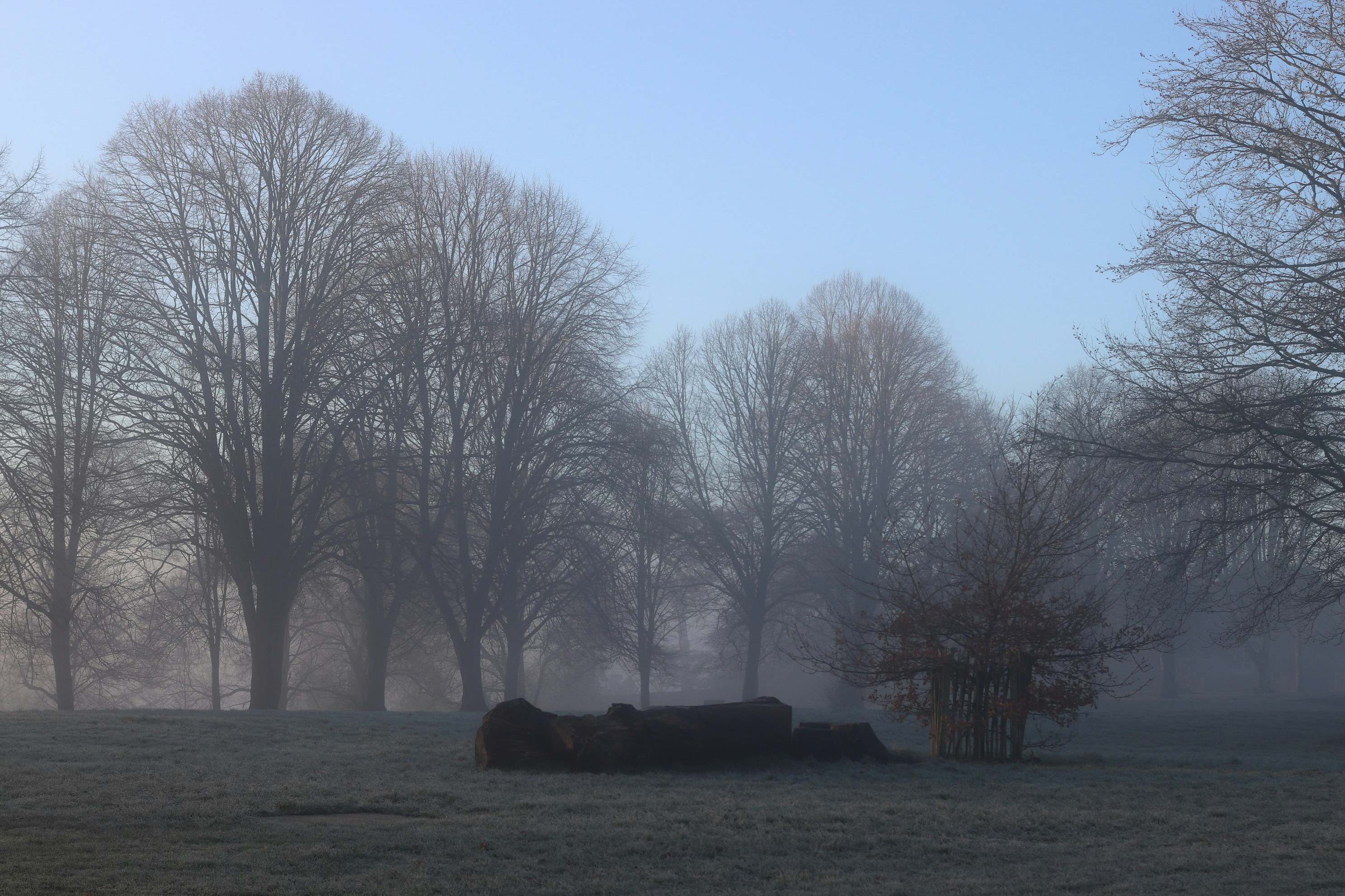 Photo by tanyabarrow