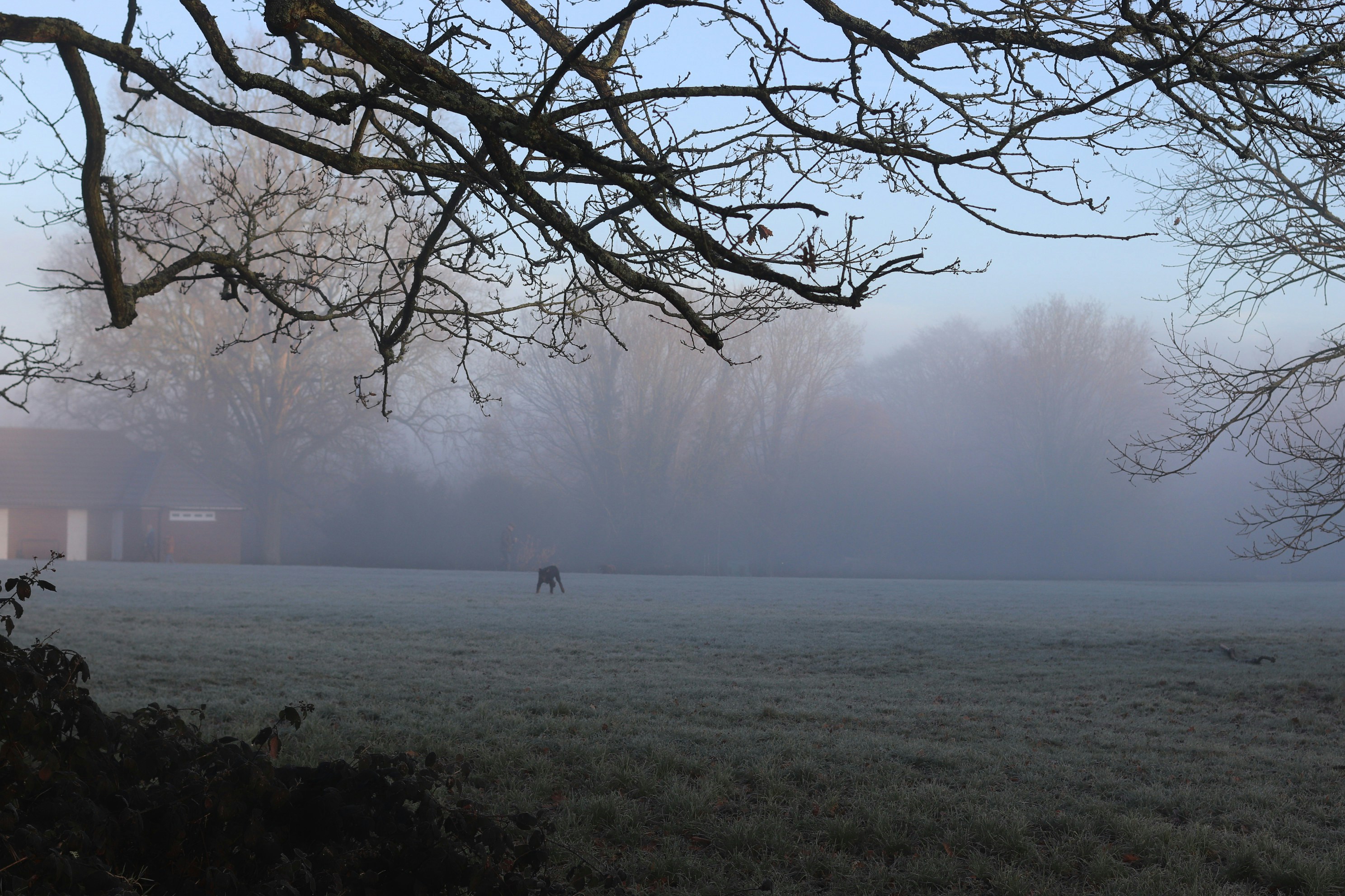 Photo by tanyabarrow