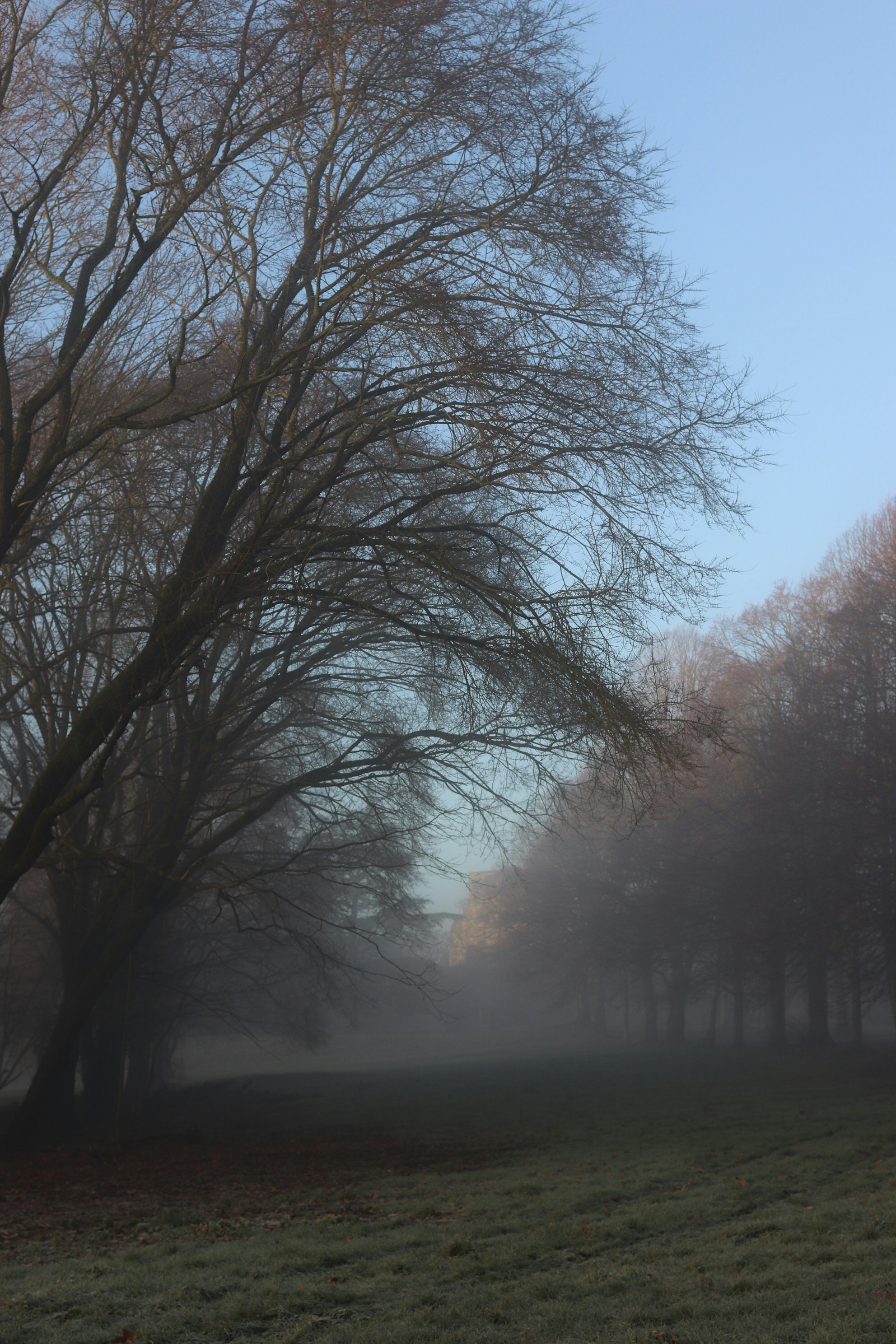 Photo by tanyabarrow