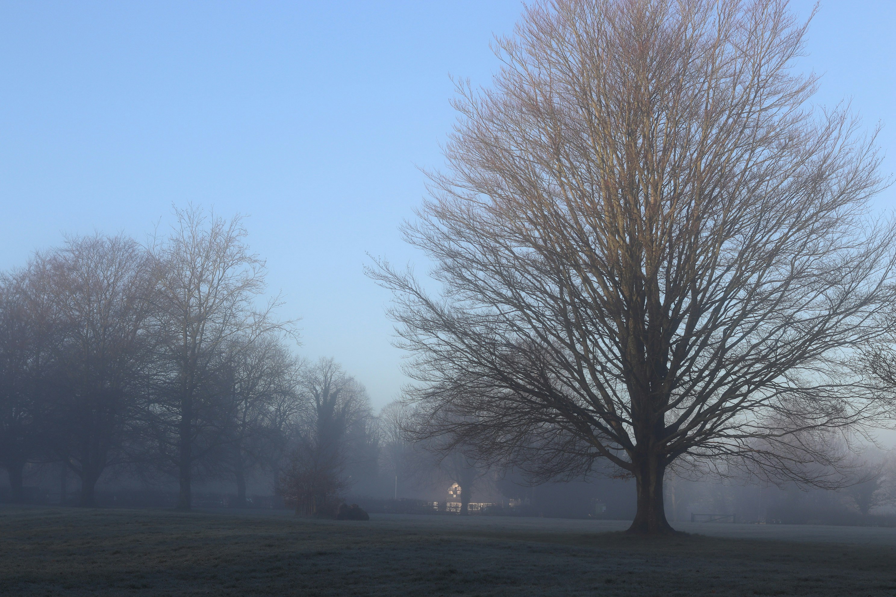 Photo by tanyabarrow