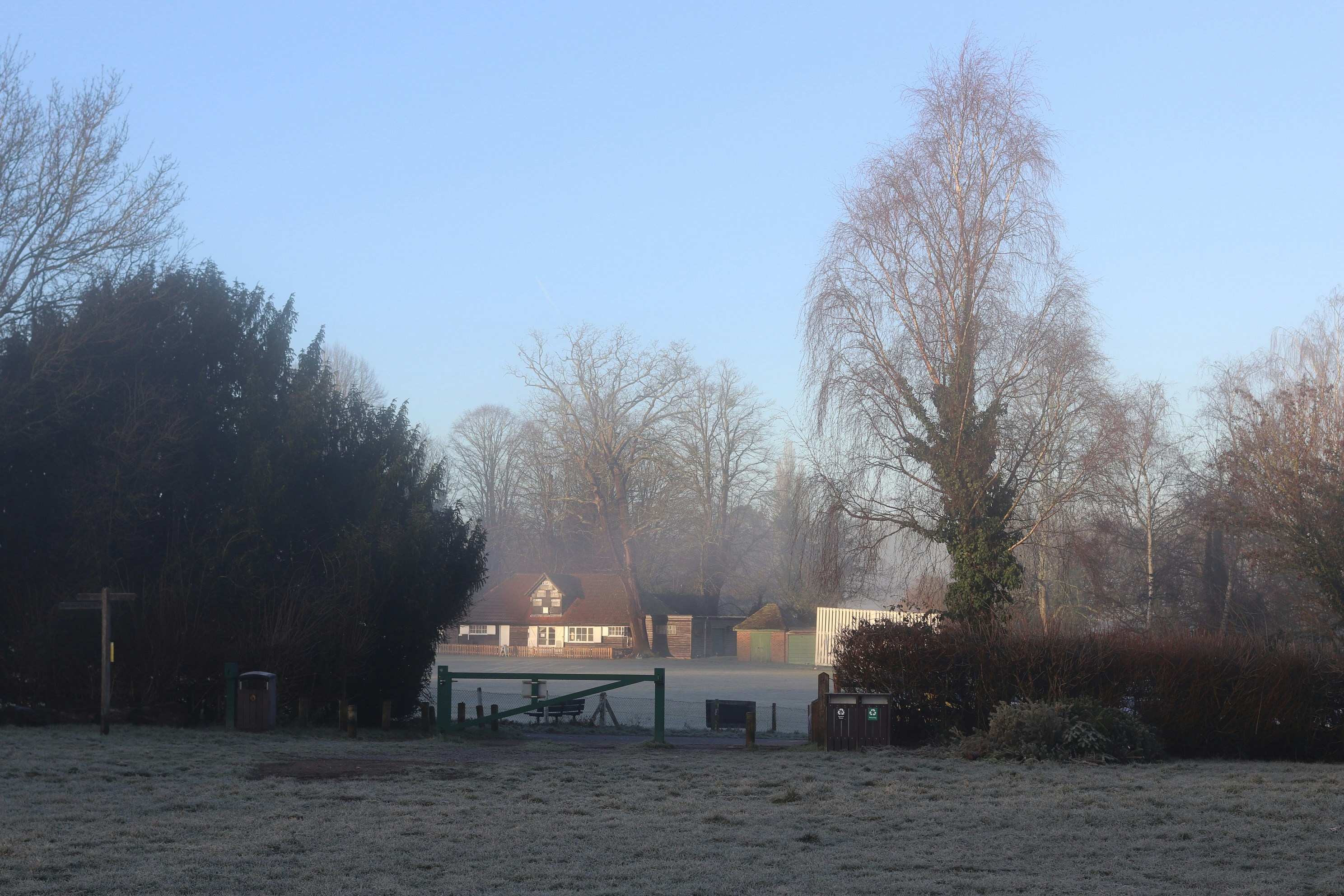 Kahle Bäume und frostiges Feld unter klarem Himmel