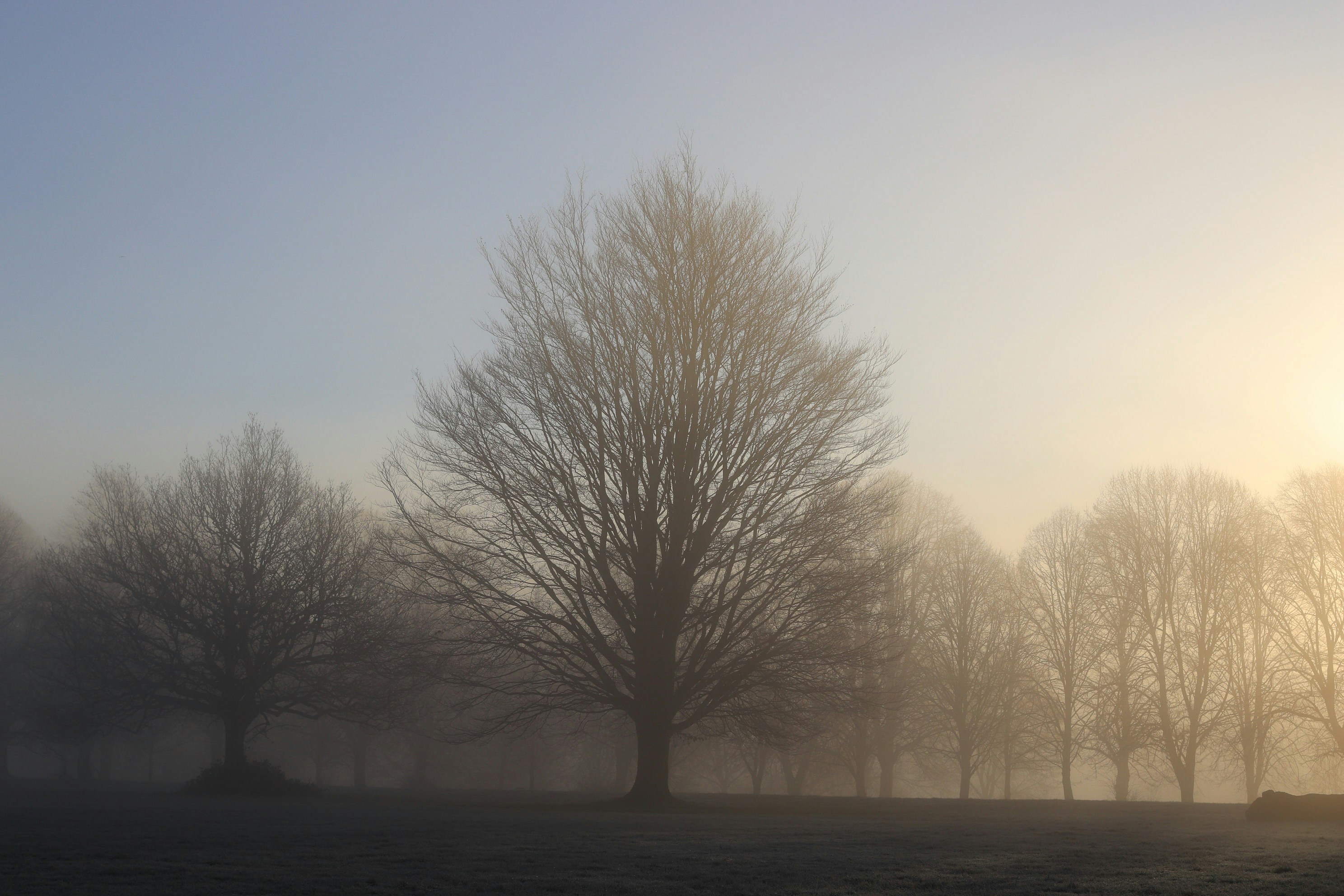 Photo by tanyabarrow