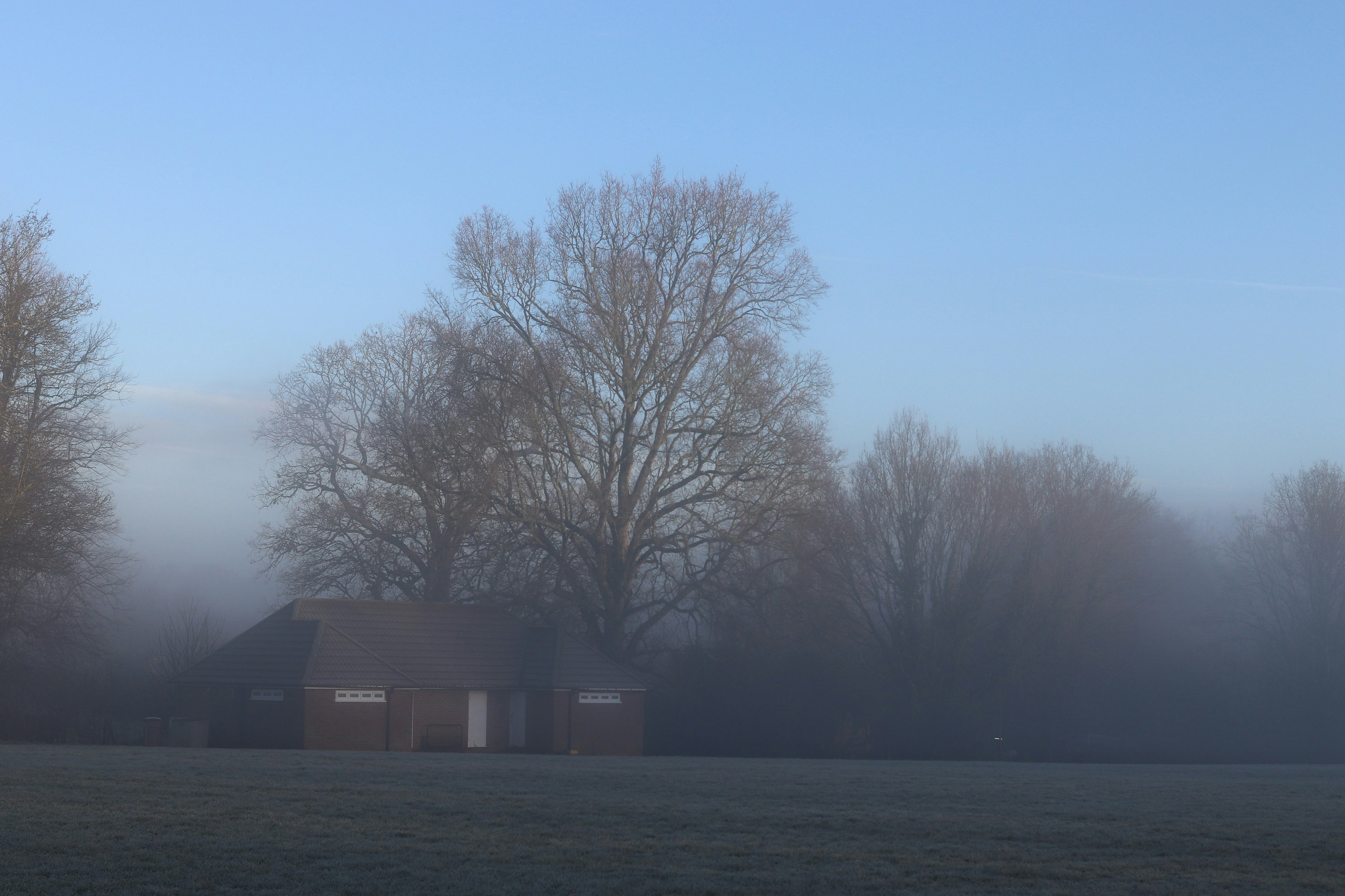 Photo by tanyabarrow