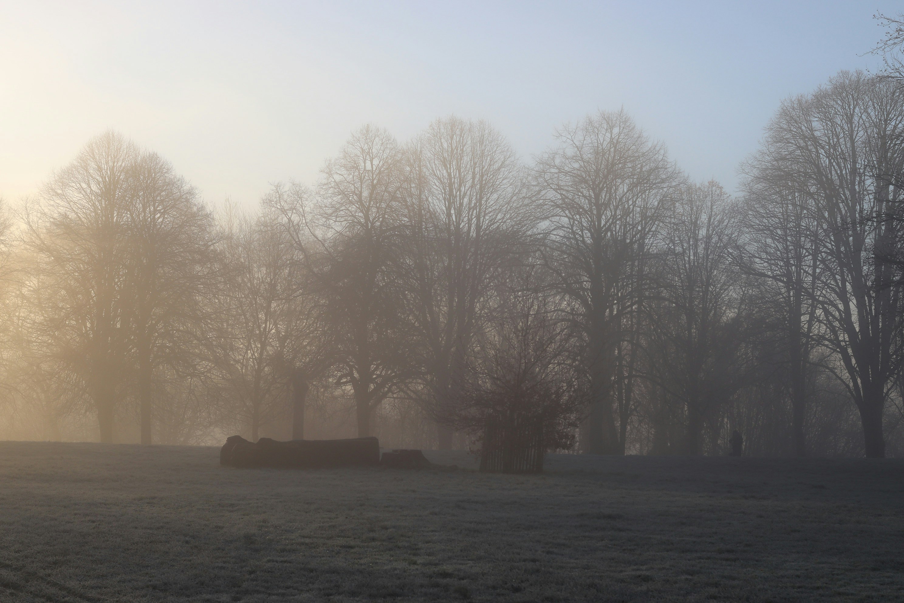 Photo by tanyabarrow