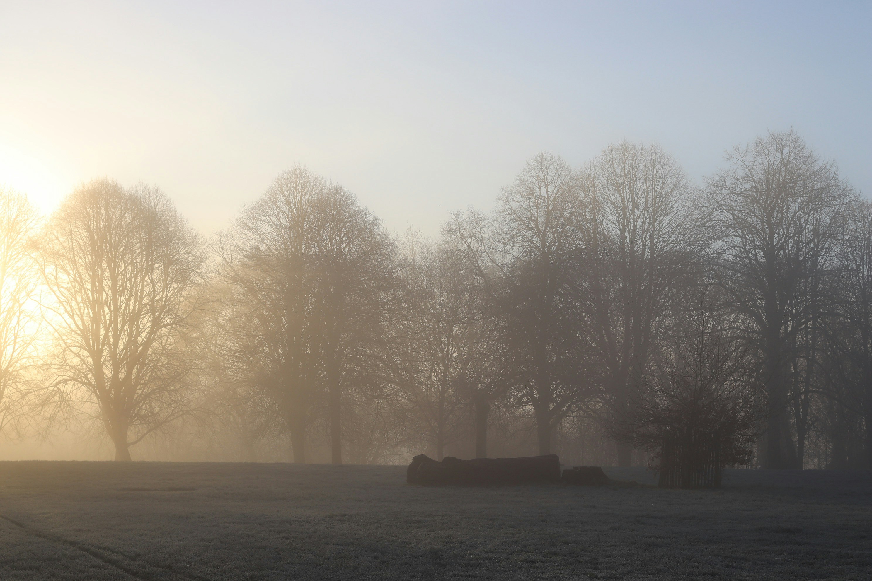 Photo by tanyabarrow