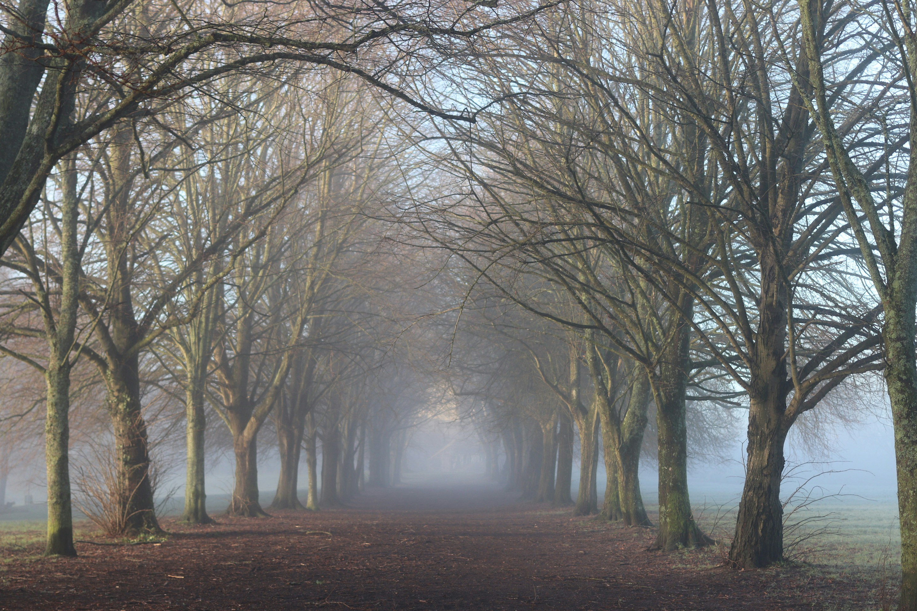 Photo by tanyabarrow