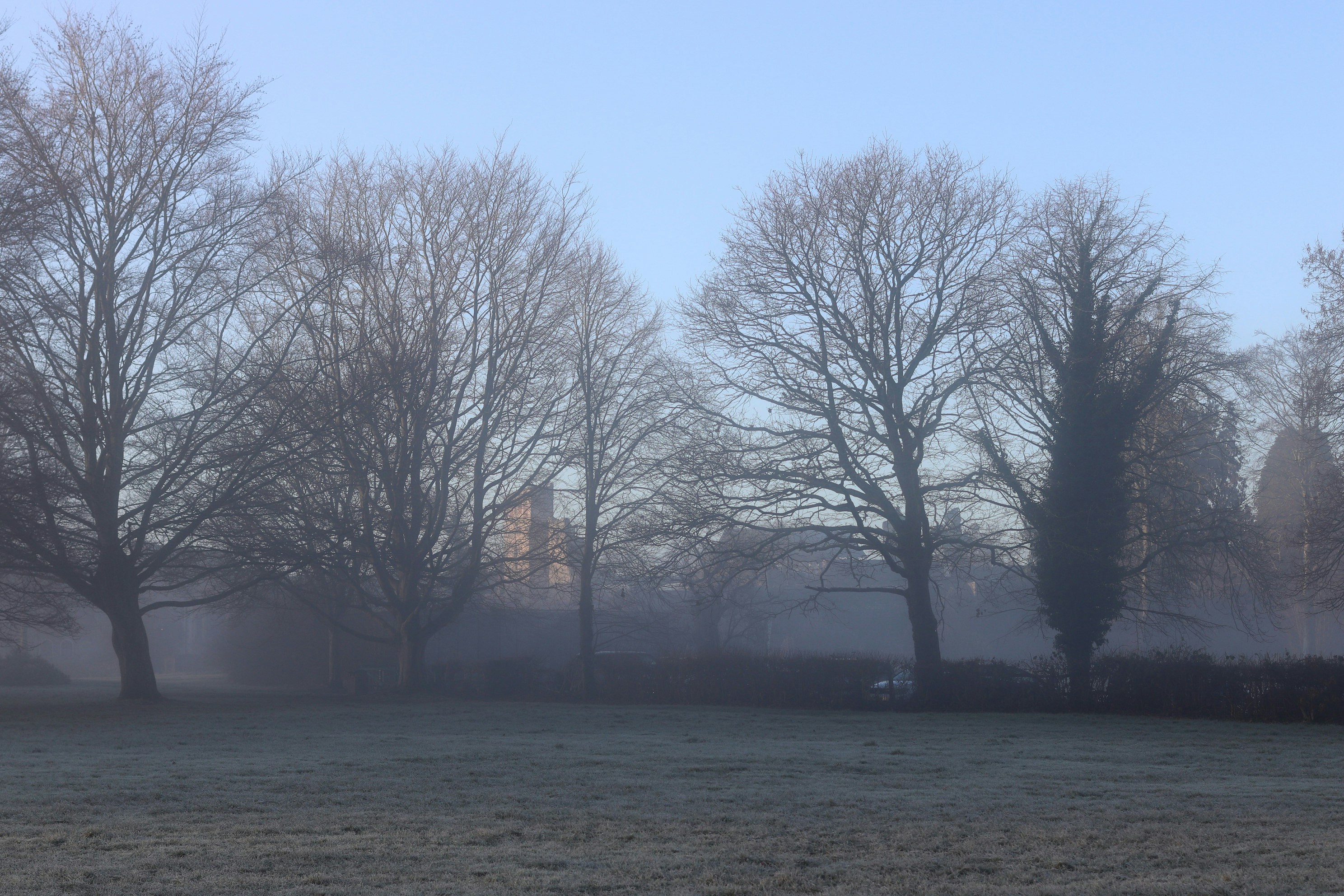 Photo by tanyabarrow