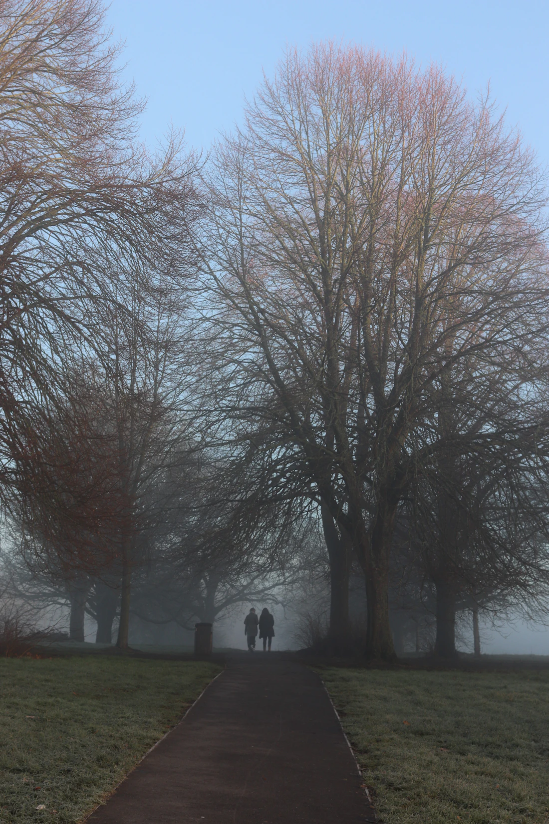 Two people walking together outdoors on a quiet morning path