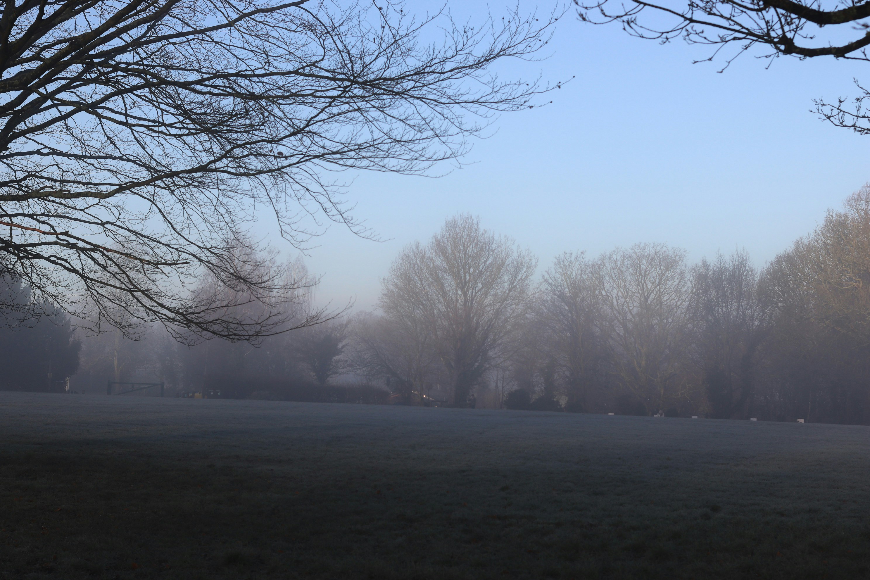 Photo by tanyabarrow