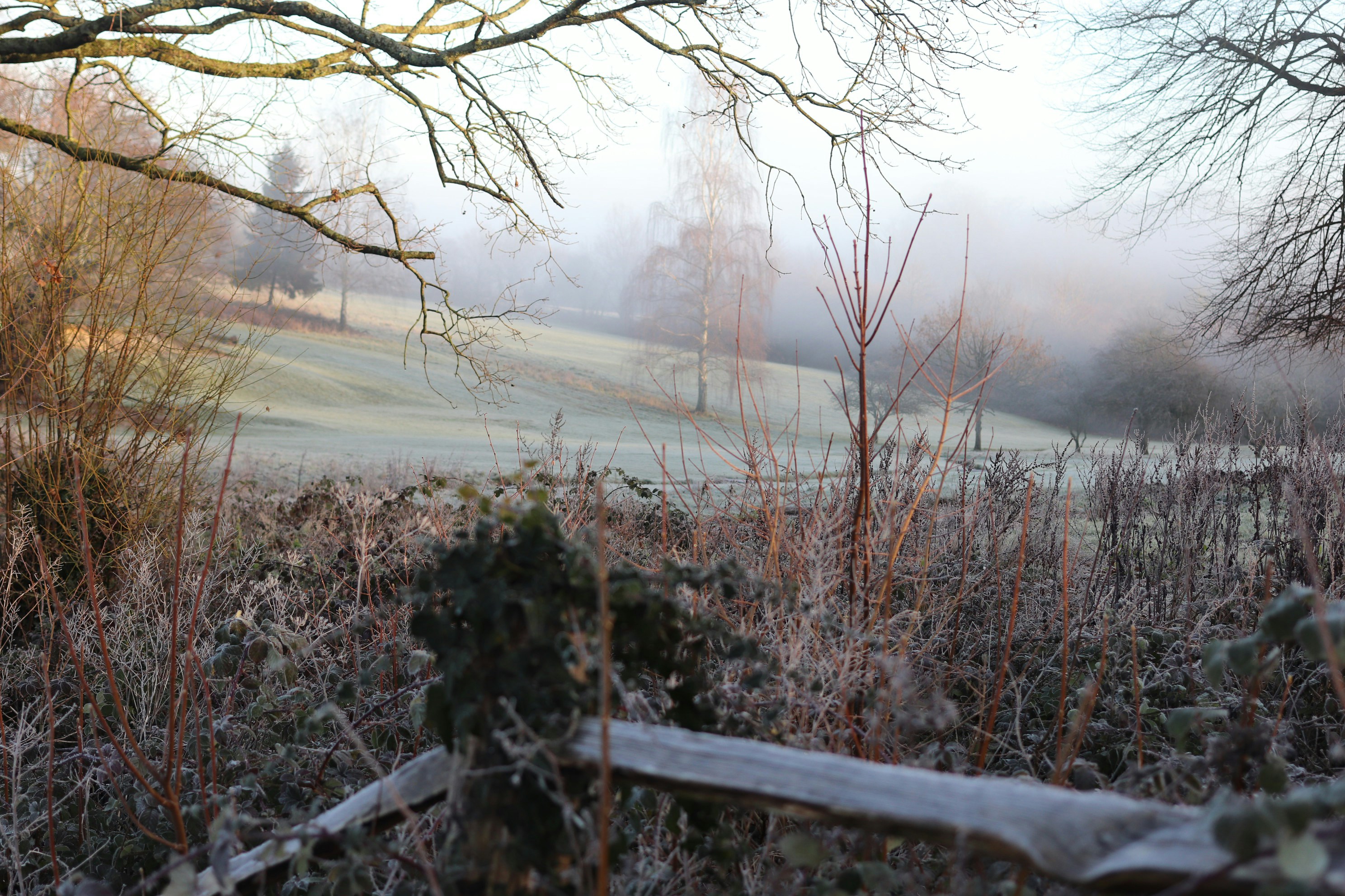 Photo by tanyabarrow