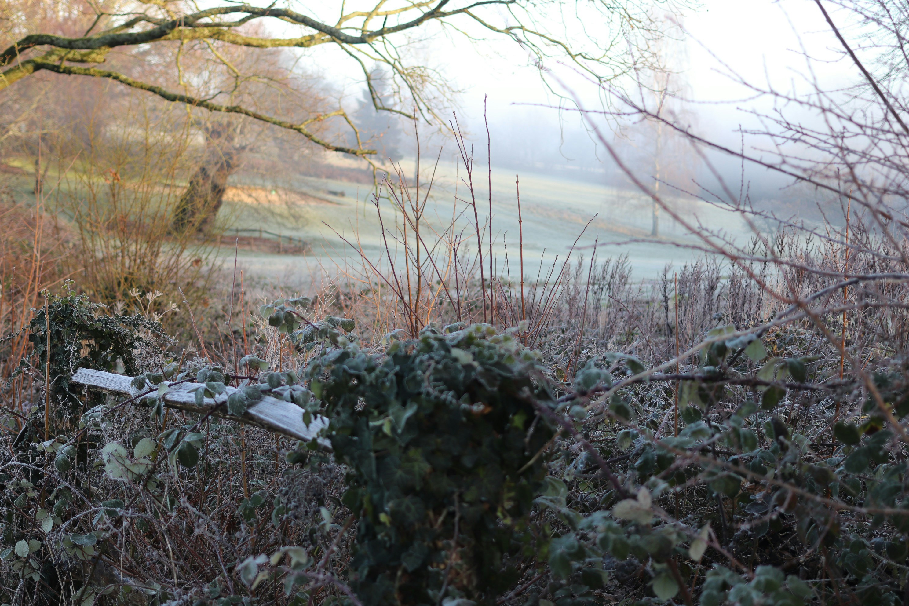 Photo by tanyabarrow