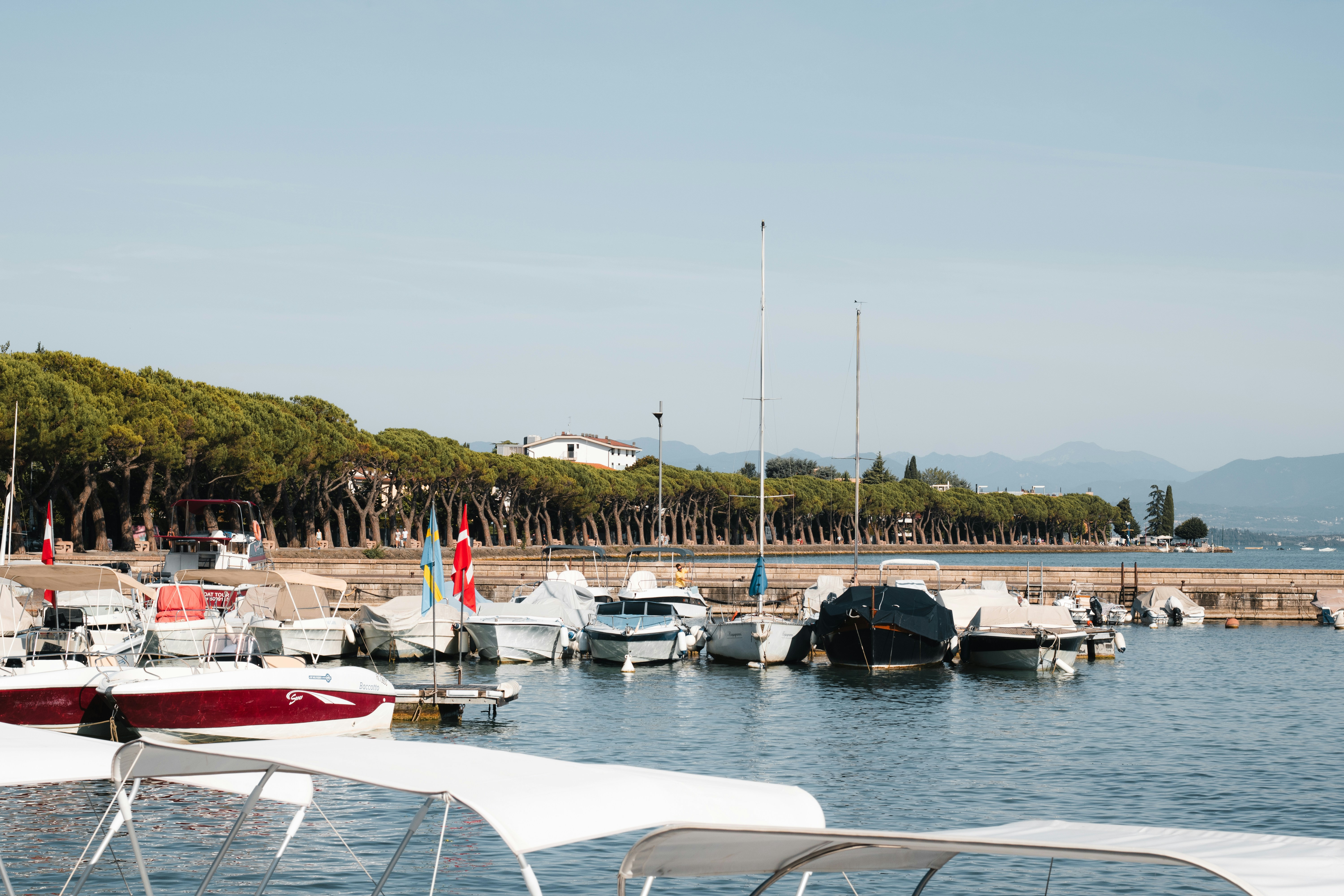 Photo by ssarasframes