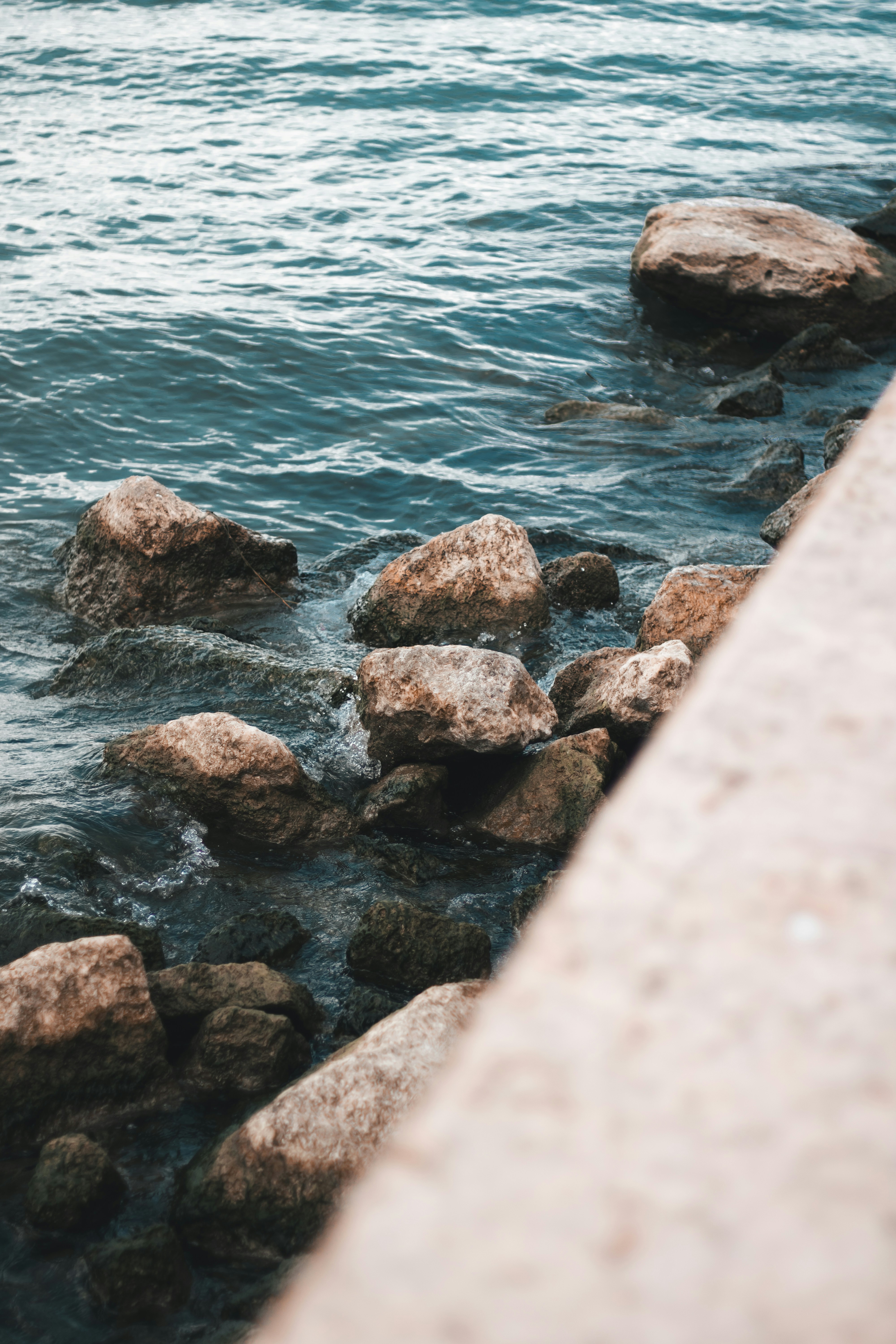 Photo by ssarasframes