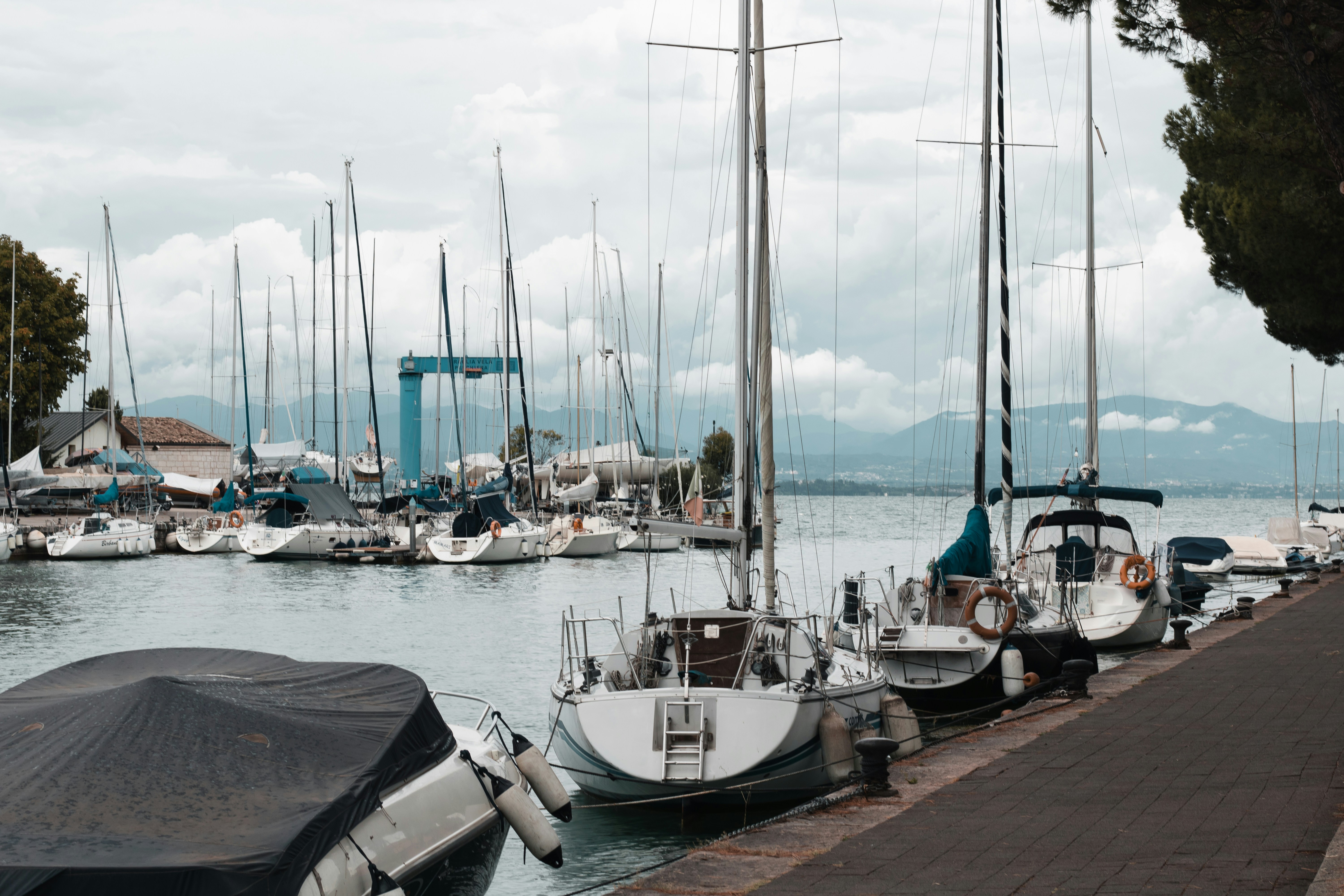 Photo by ssarasframes