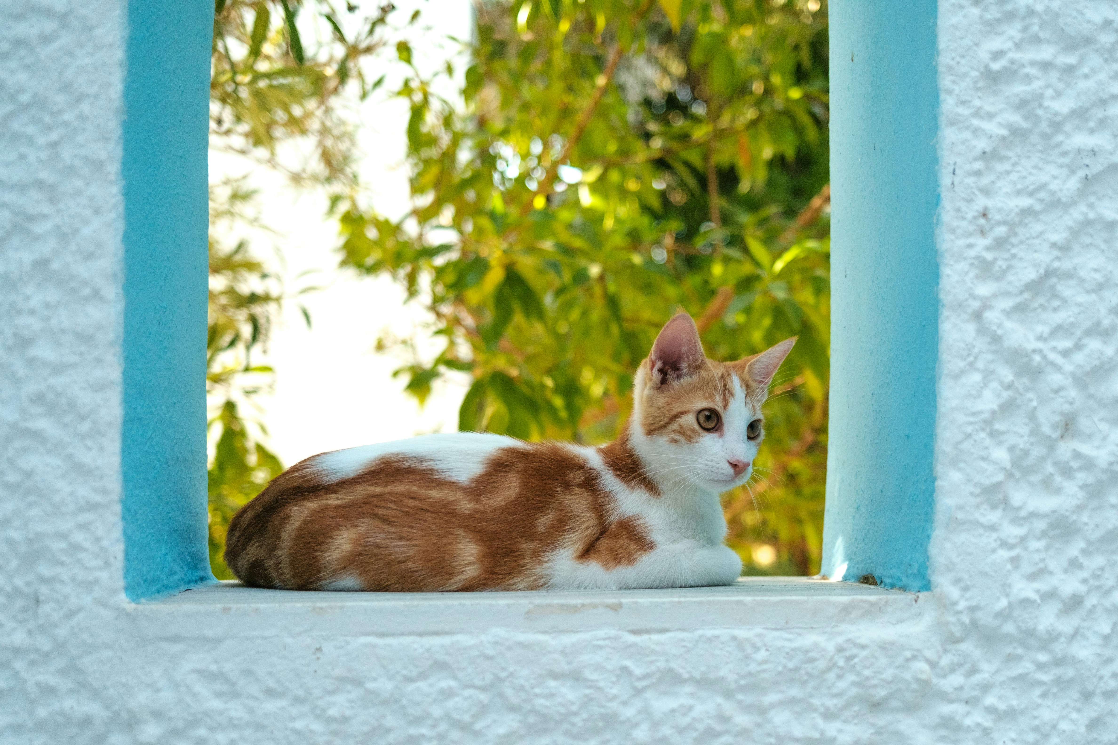 Photo by moritz_ruhrberg