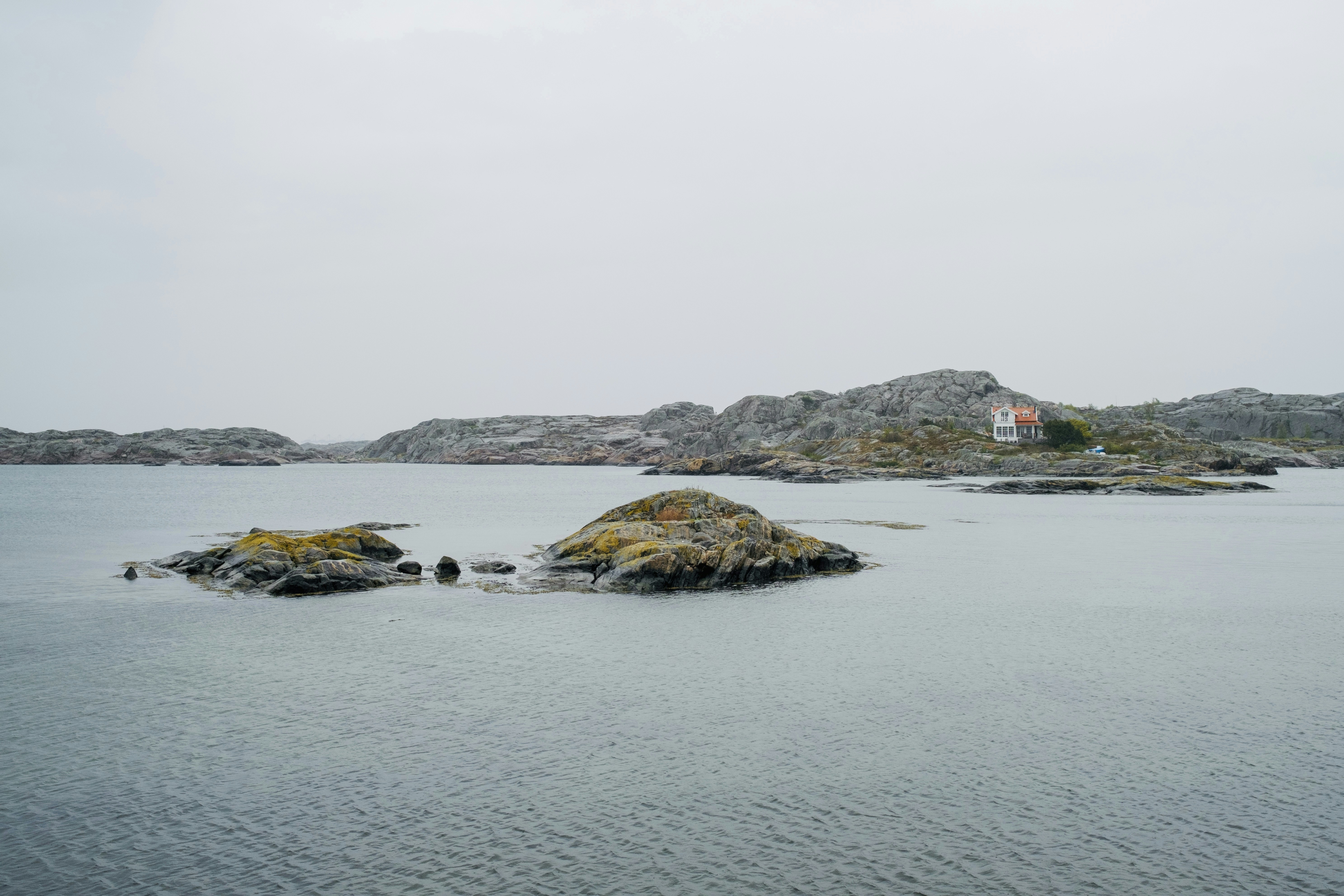 Photo by morruh
