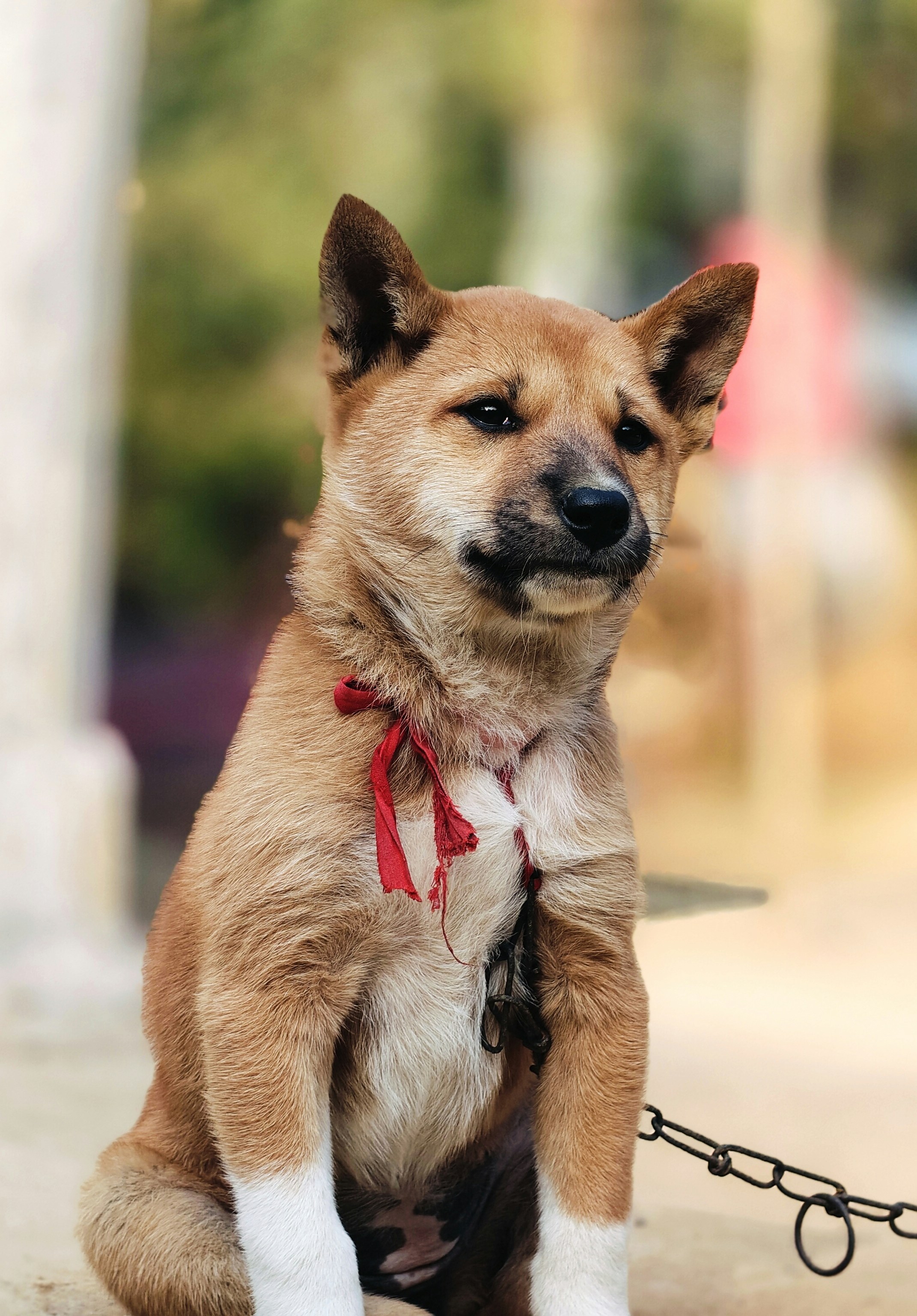 Photo by pranabpictures