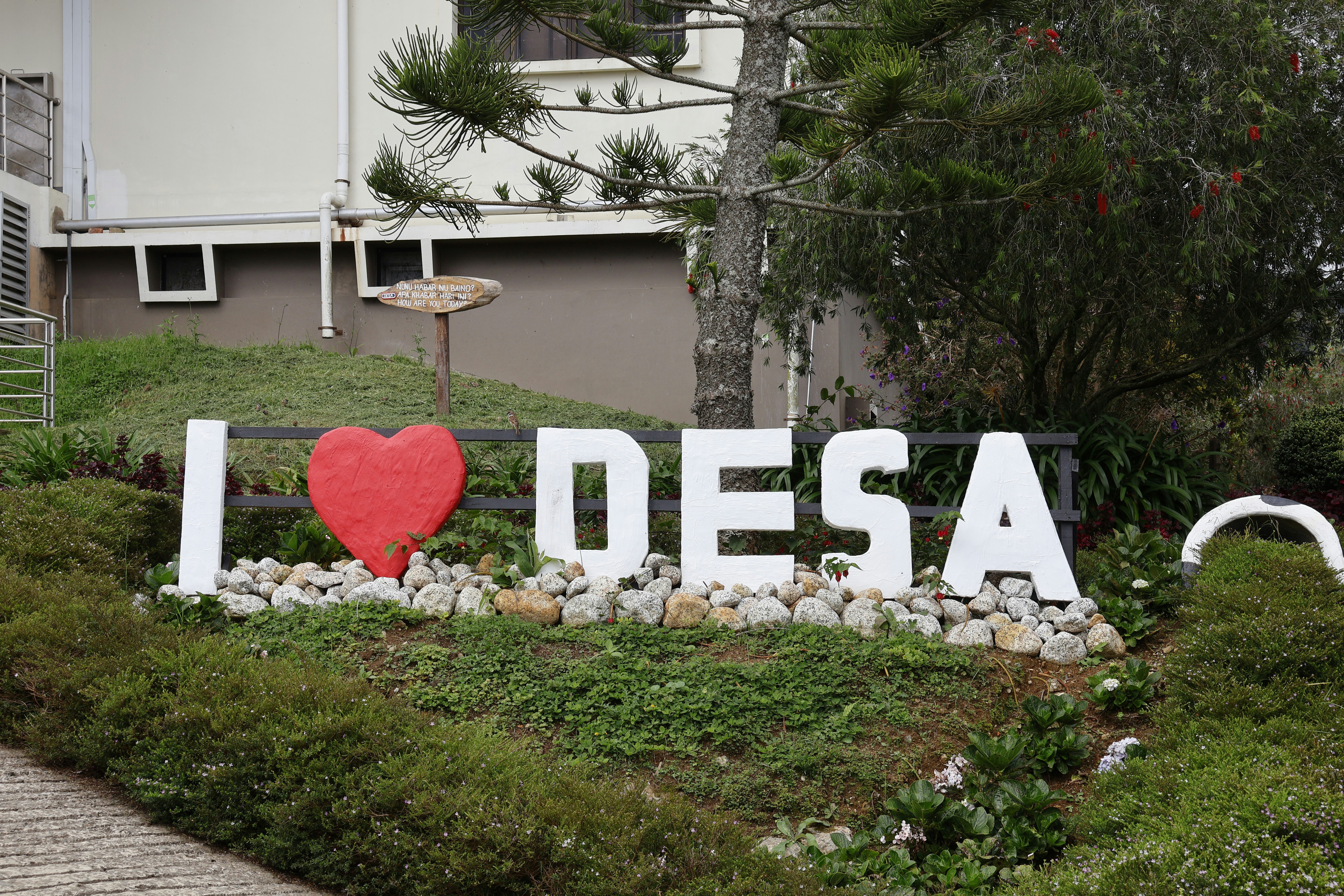 Identifying Opportunities in a Volatile Market: Lessons for Small Farmers