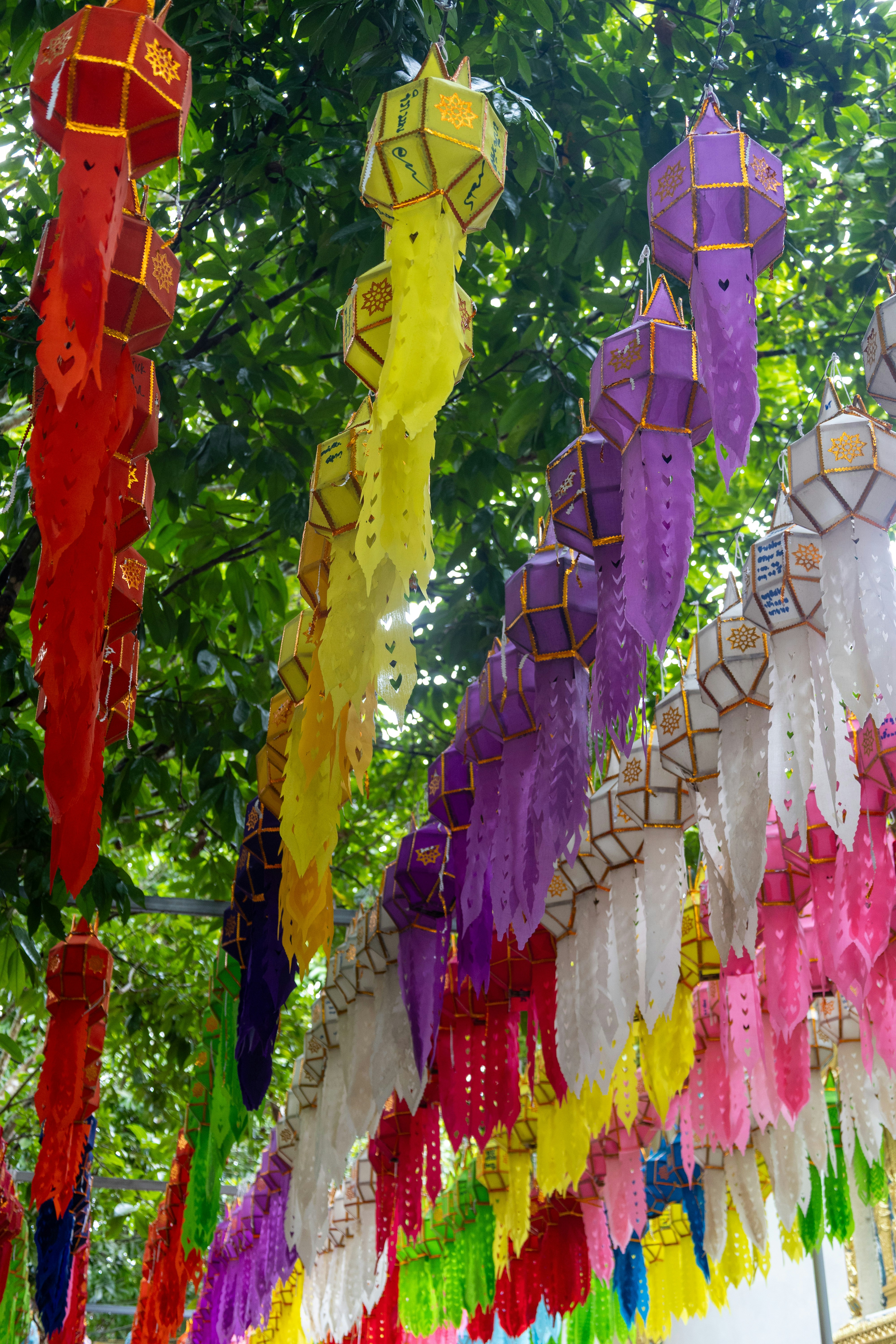 Lanterne di carta colorate appese agli alberi