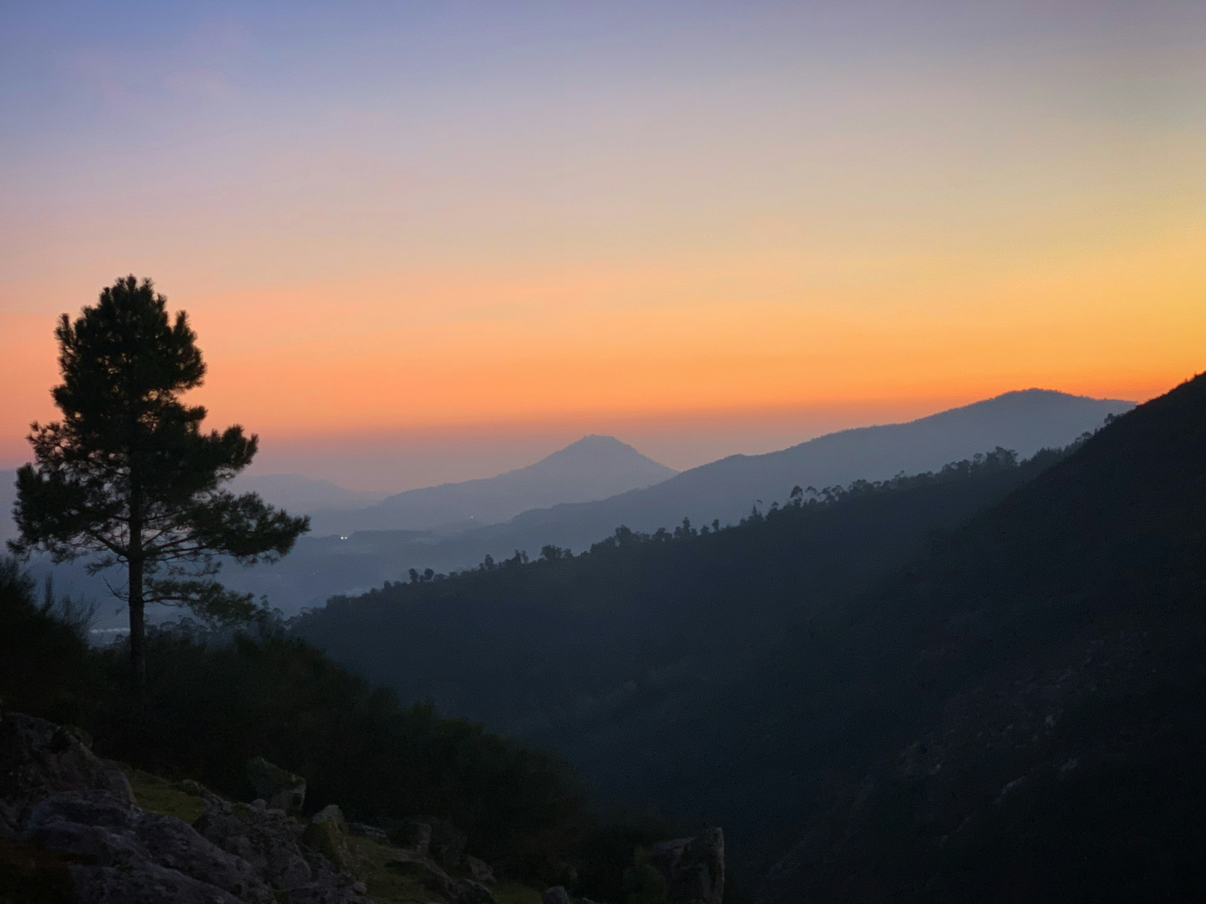 Photo by sergei_gussev