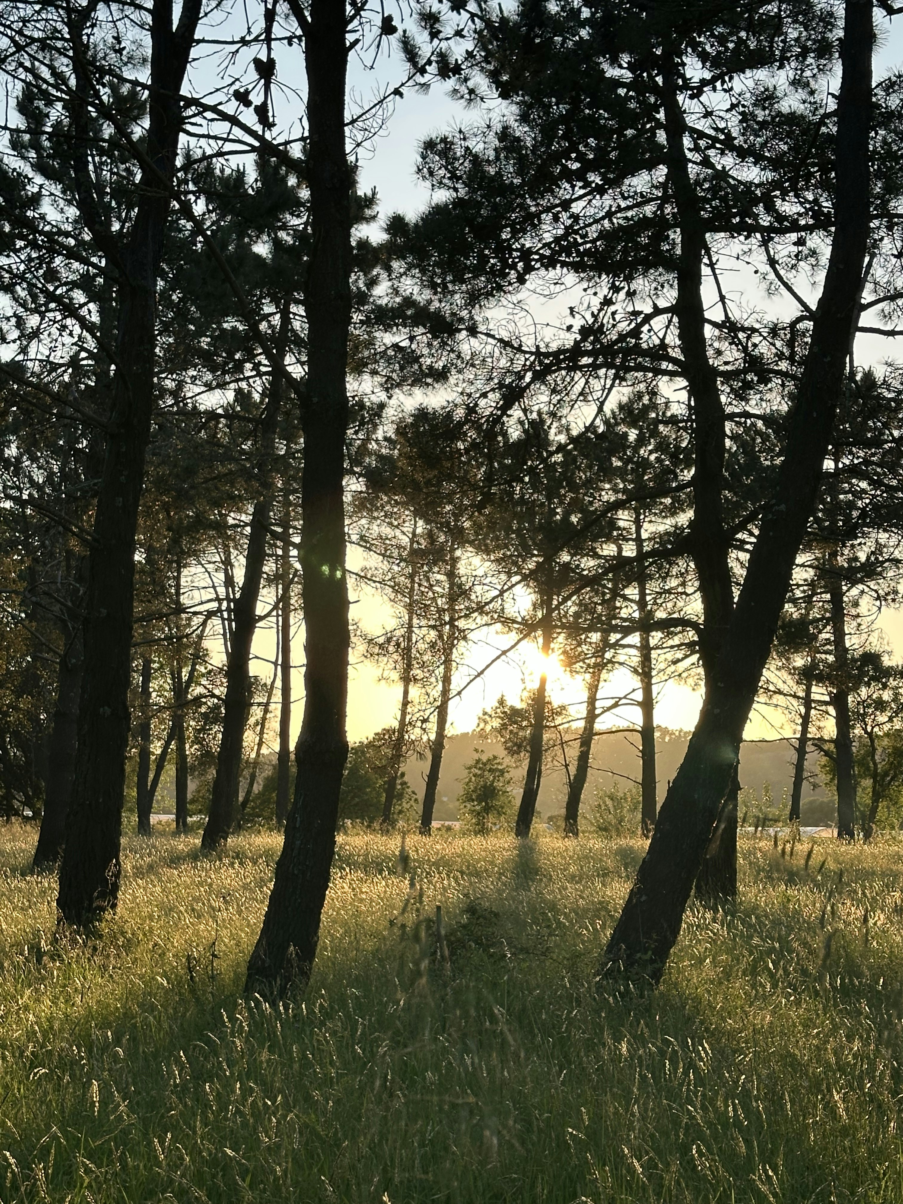 Photo by sergei_gussev