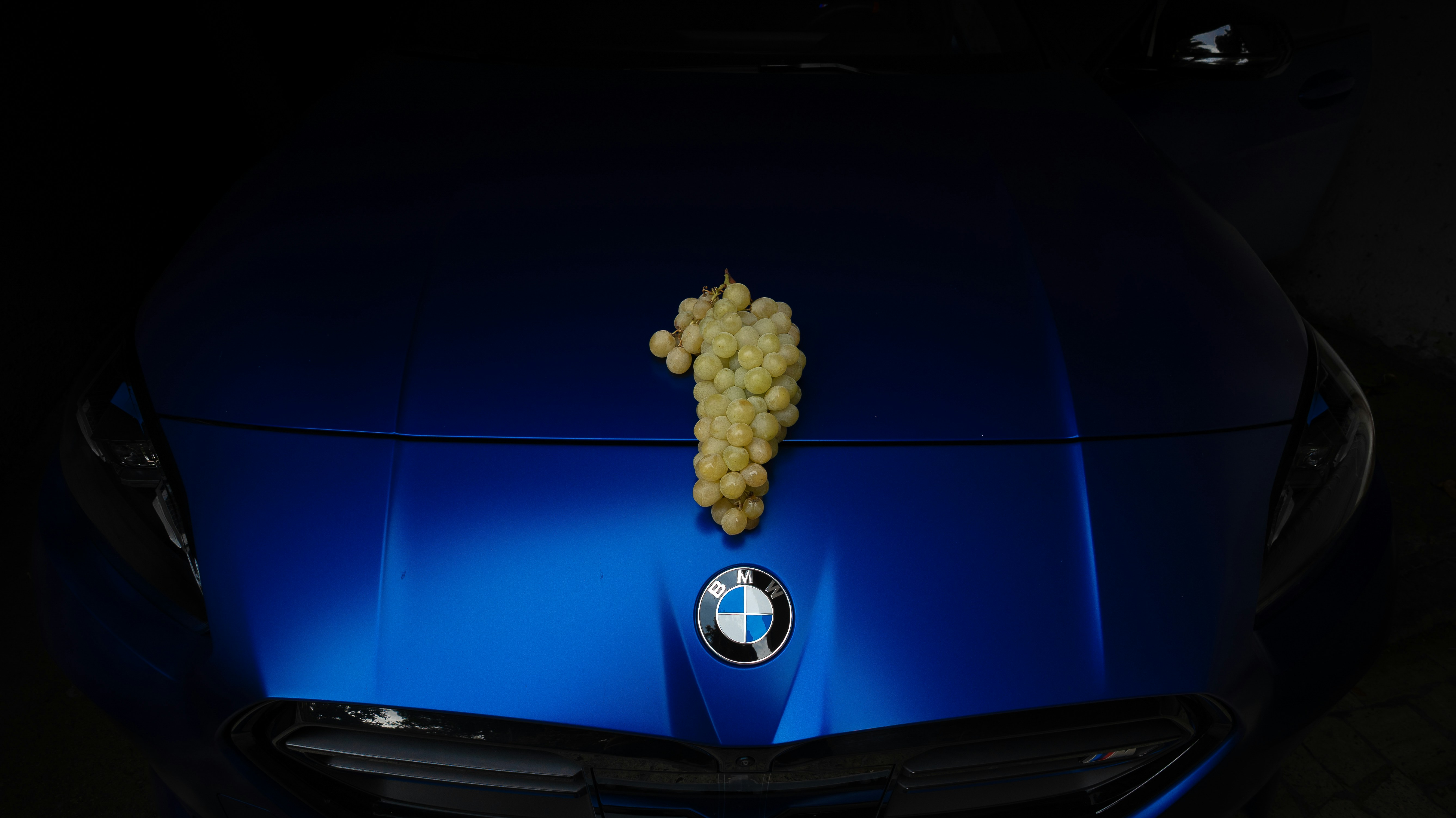 Grappo d'uva su un cofano blu