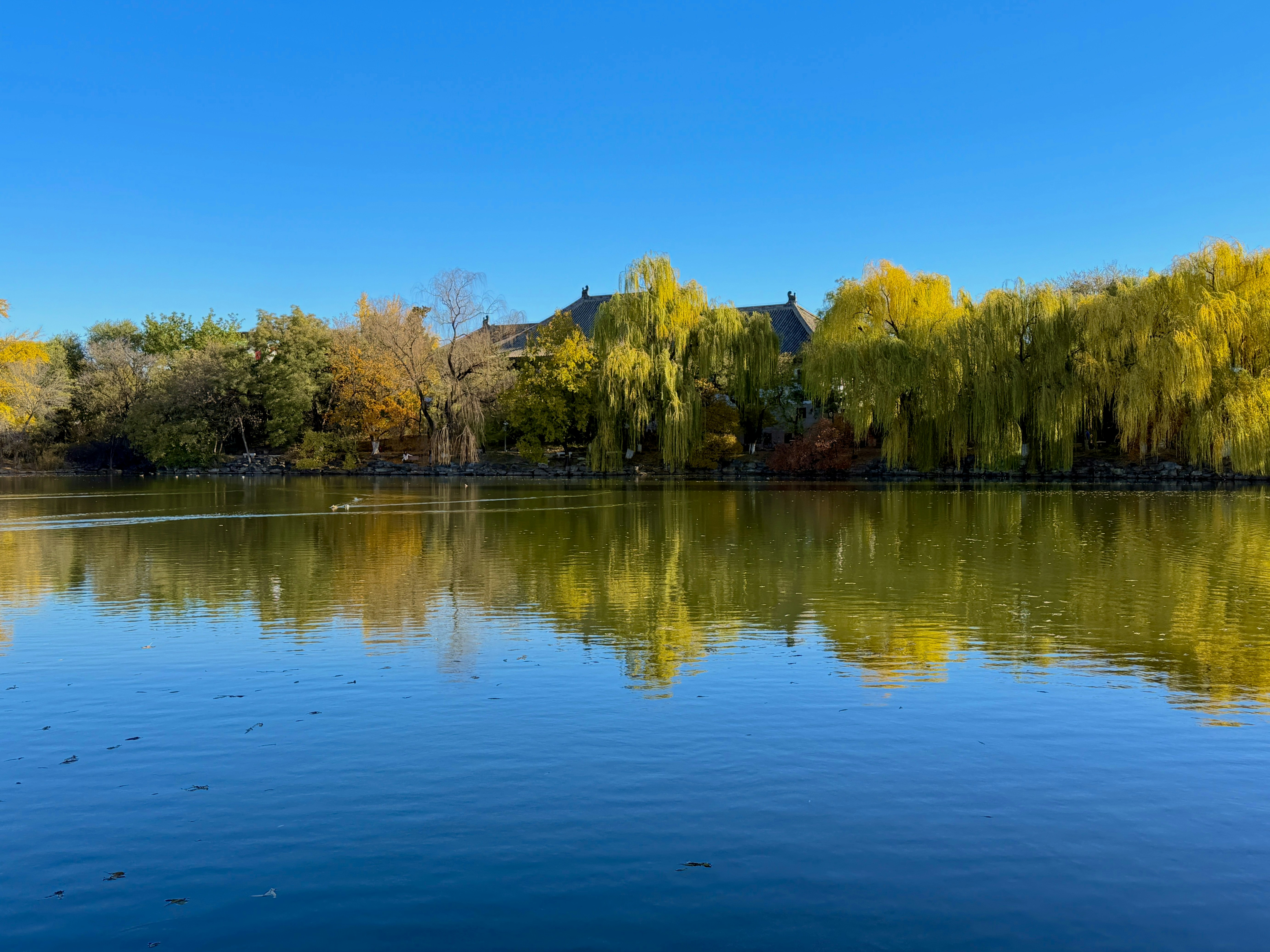 Photo by space_launch_system