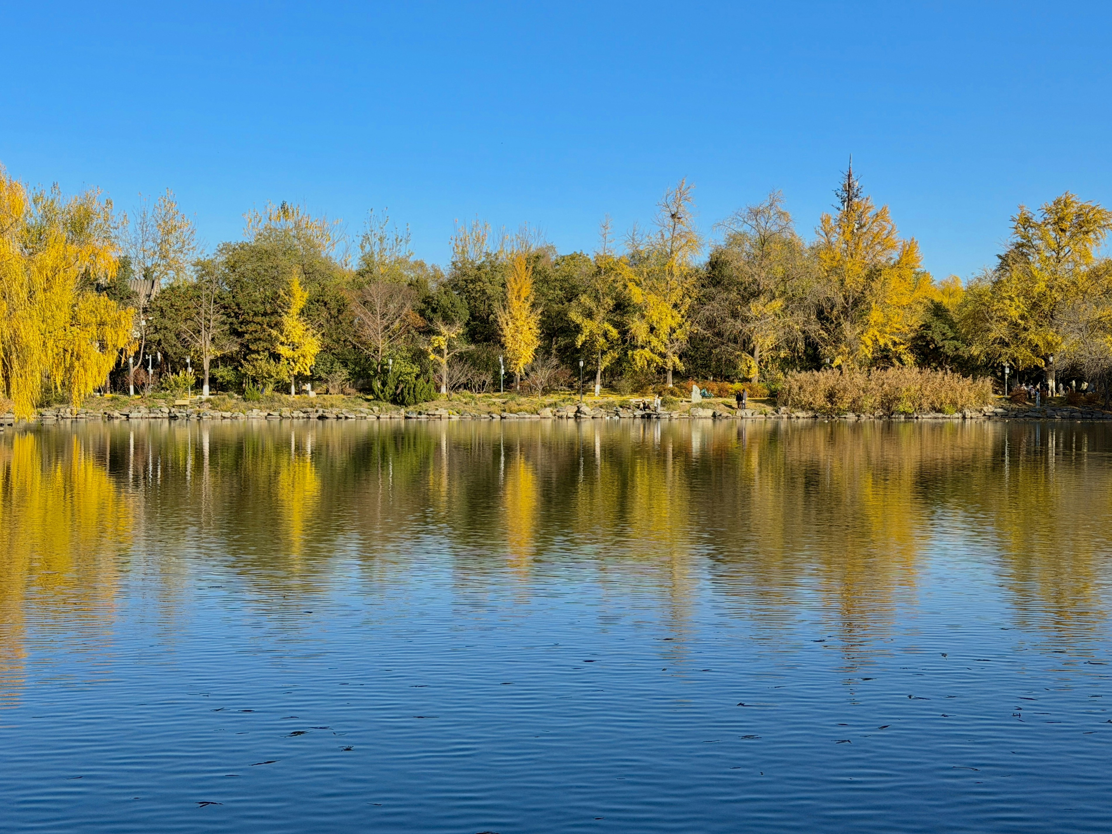 Photo by space_launch_system