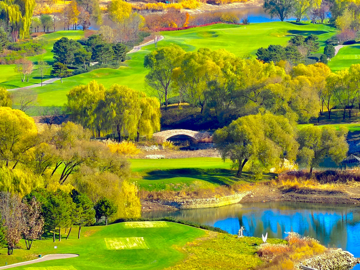 Lush green golf course aerial view