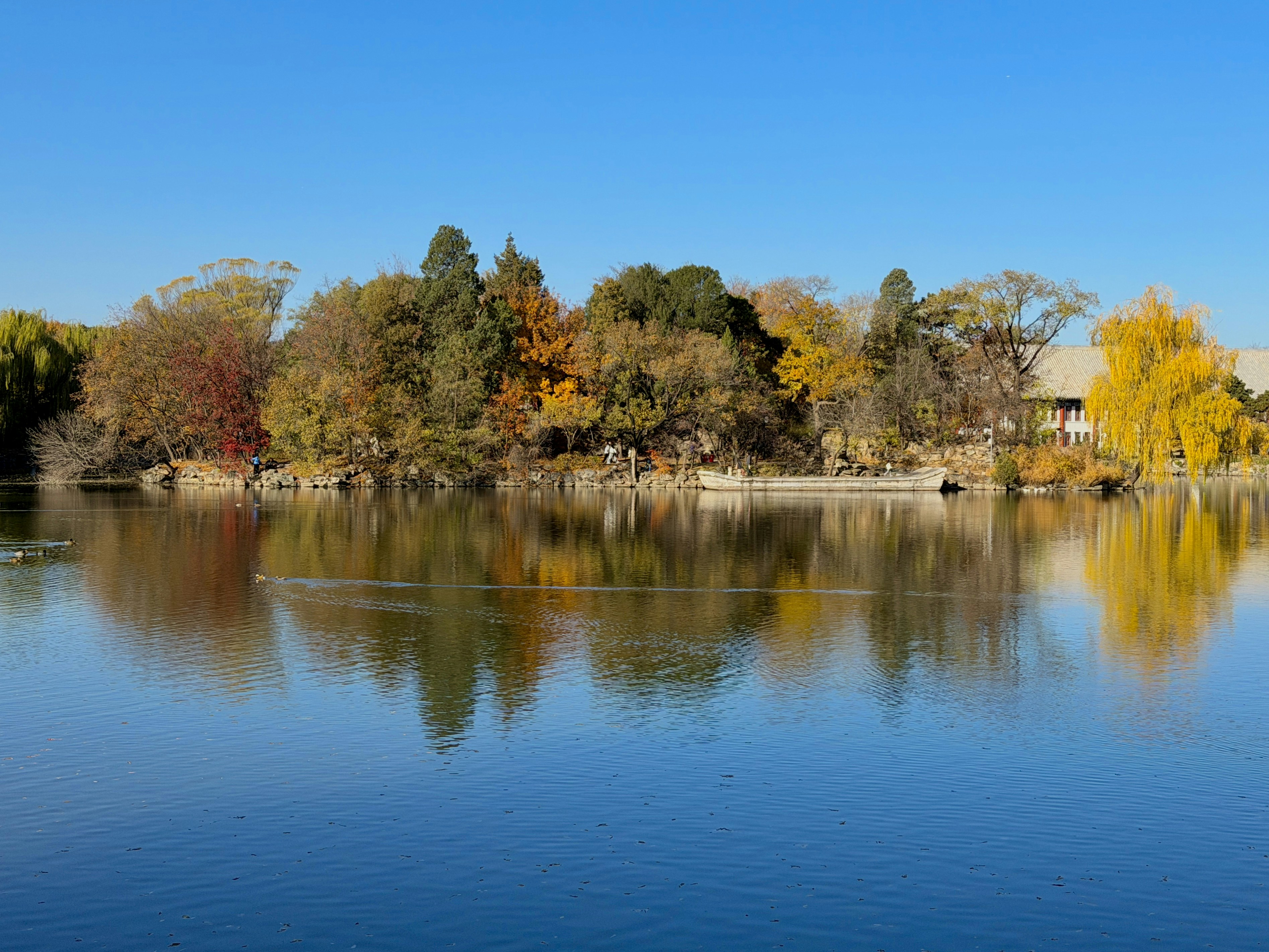 Photo by space_launch_system