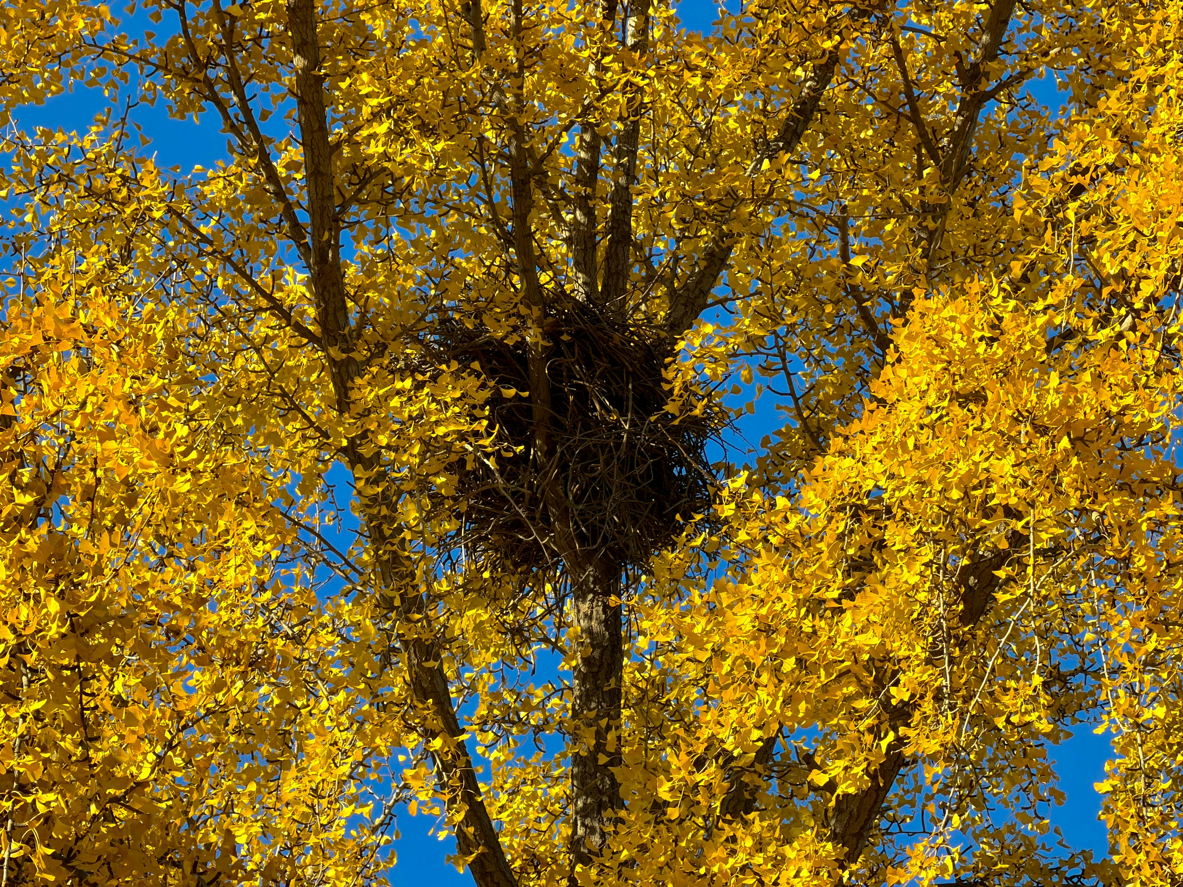 Photo by space_launch_system