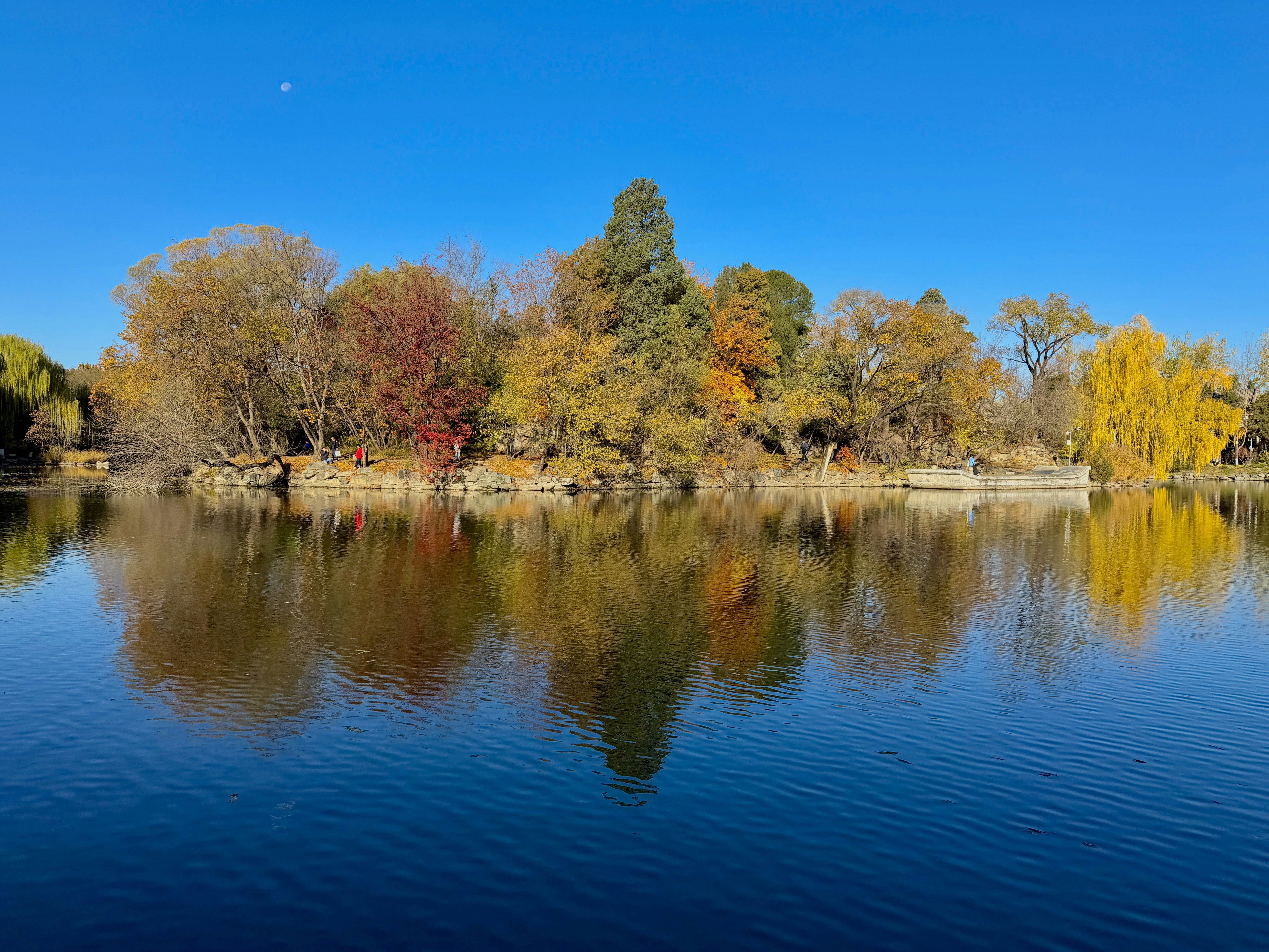 Photo by space_launch_system