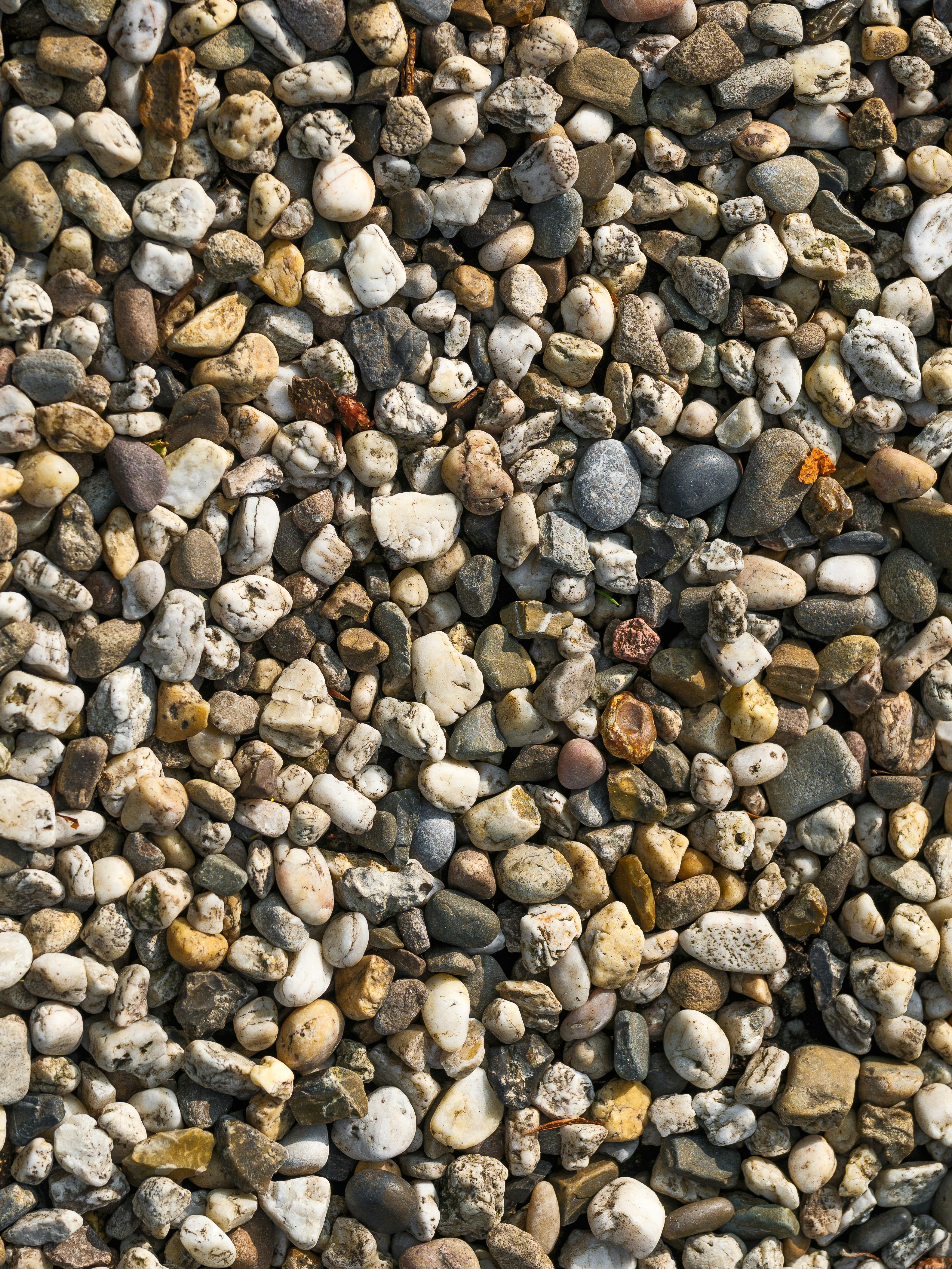 Photo by haberdoedas