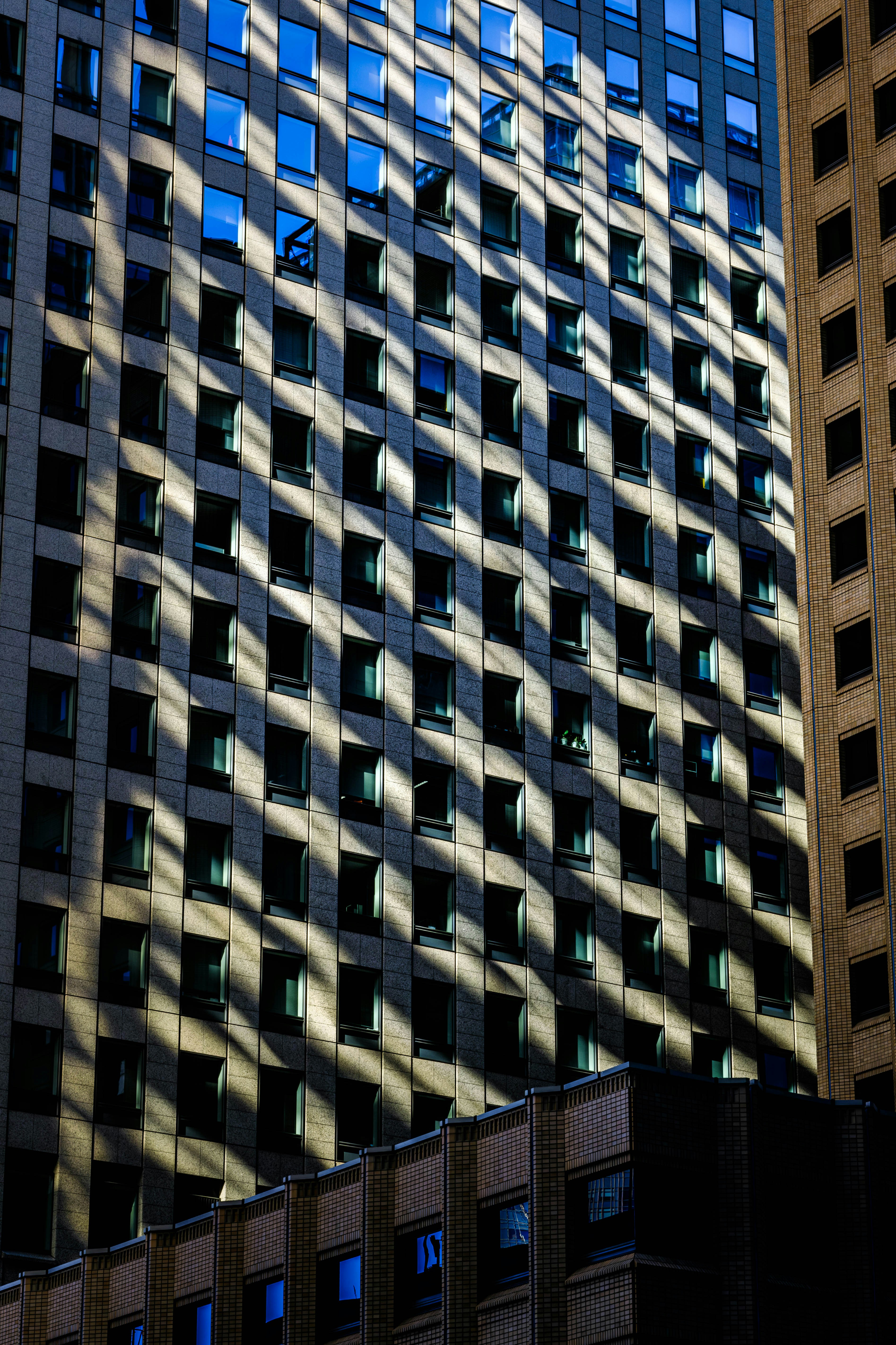 Sunlight casts geometric shadows on a modern building facade.