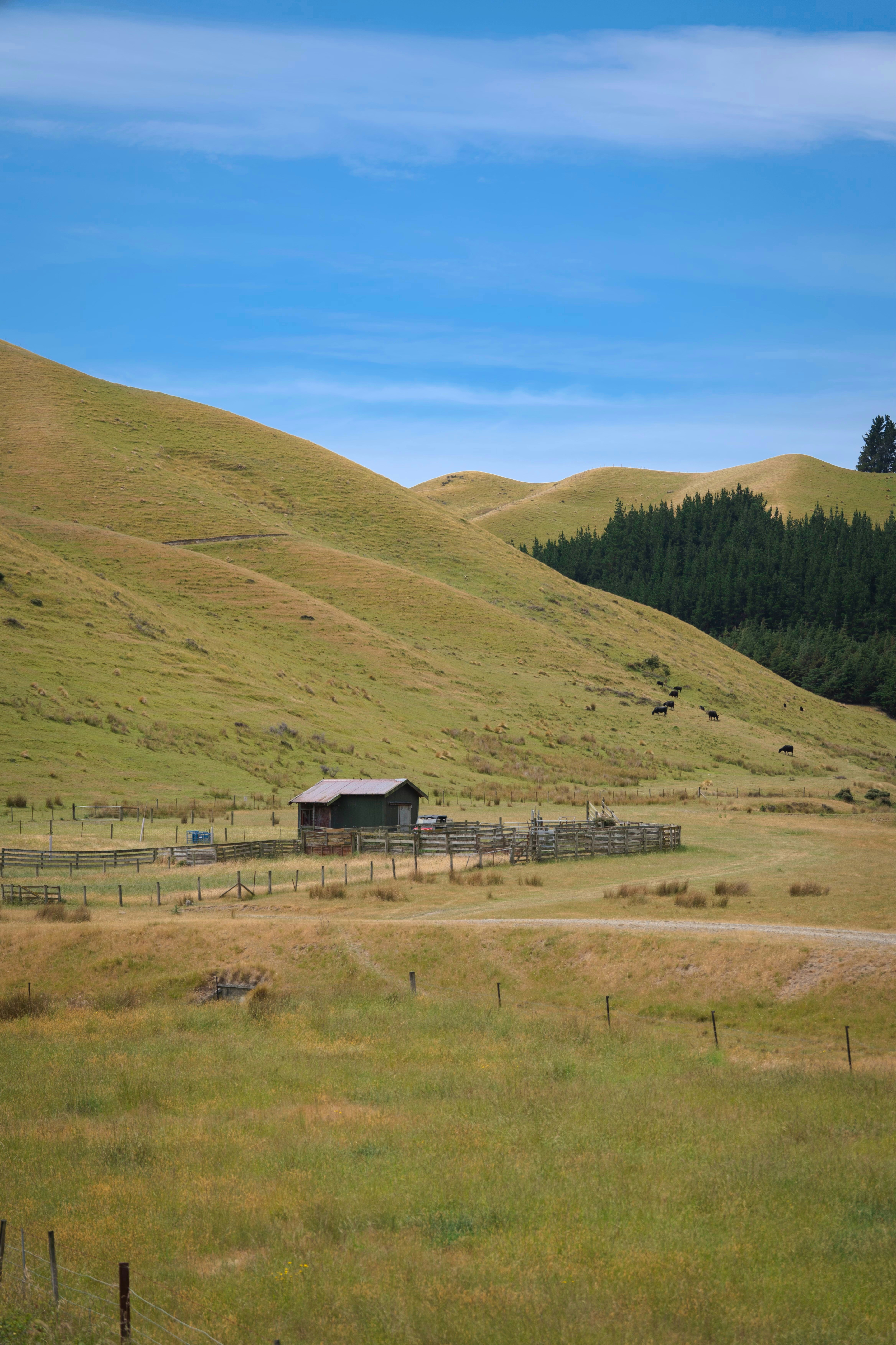 A small wooden shed sits in a green, rolling landscape.